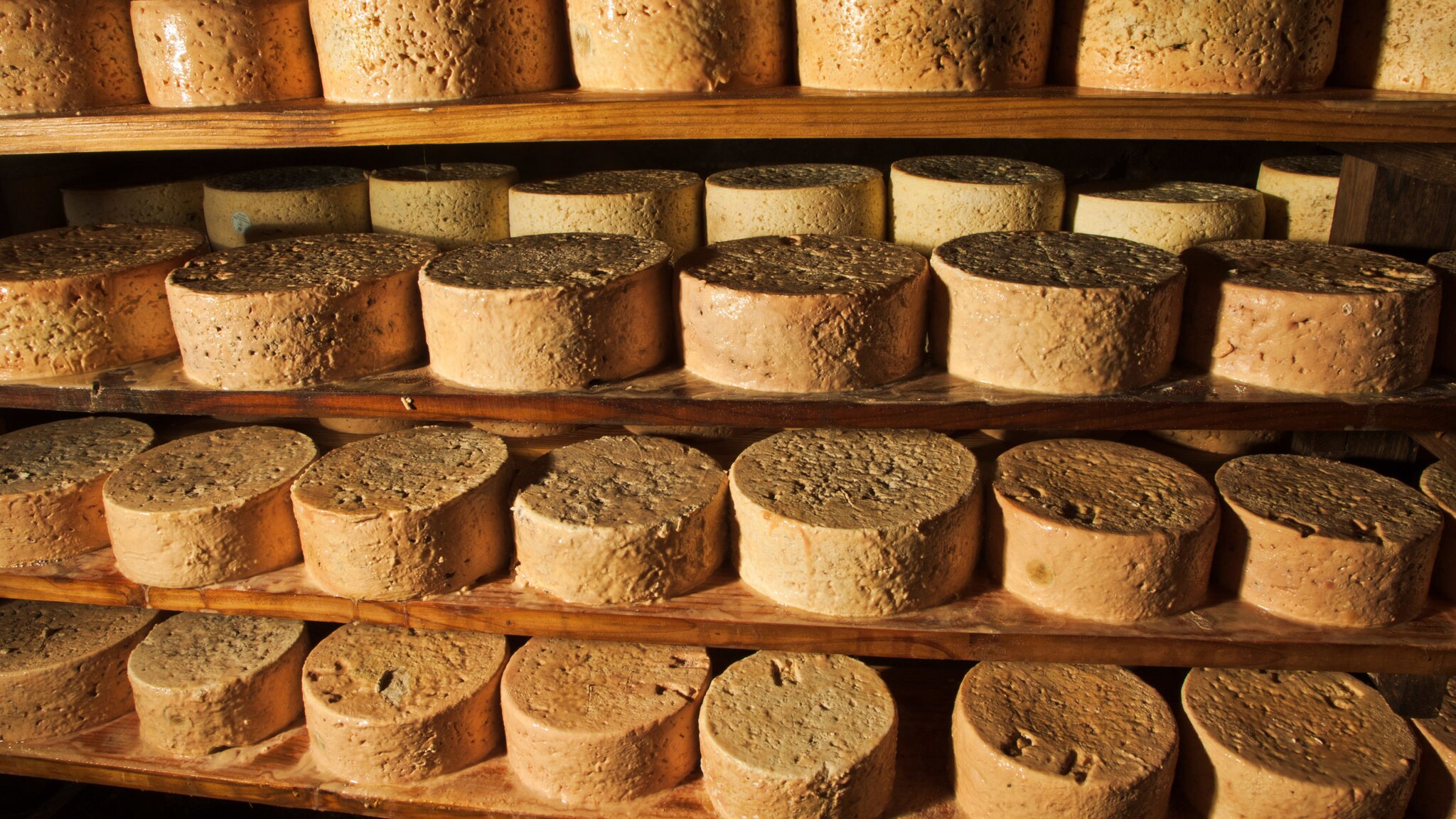 Zahlreiche helle Kaiselaibe mit strukturierter Oberfläche lagern auf Holzregalen in einer Höhle.