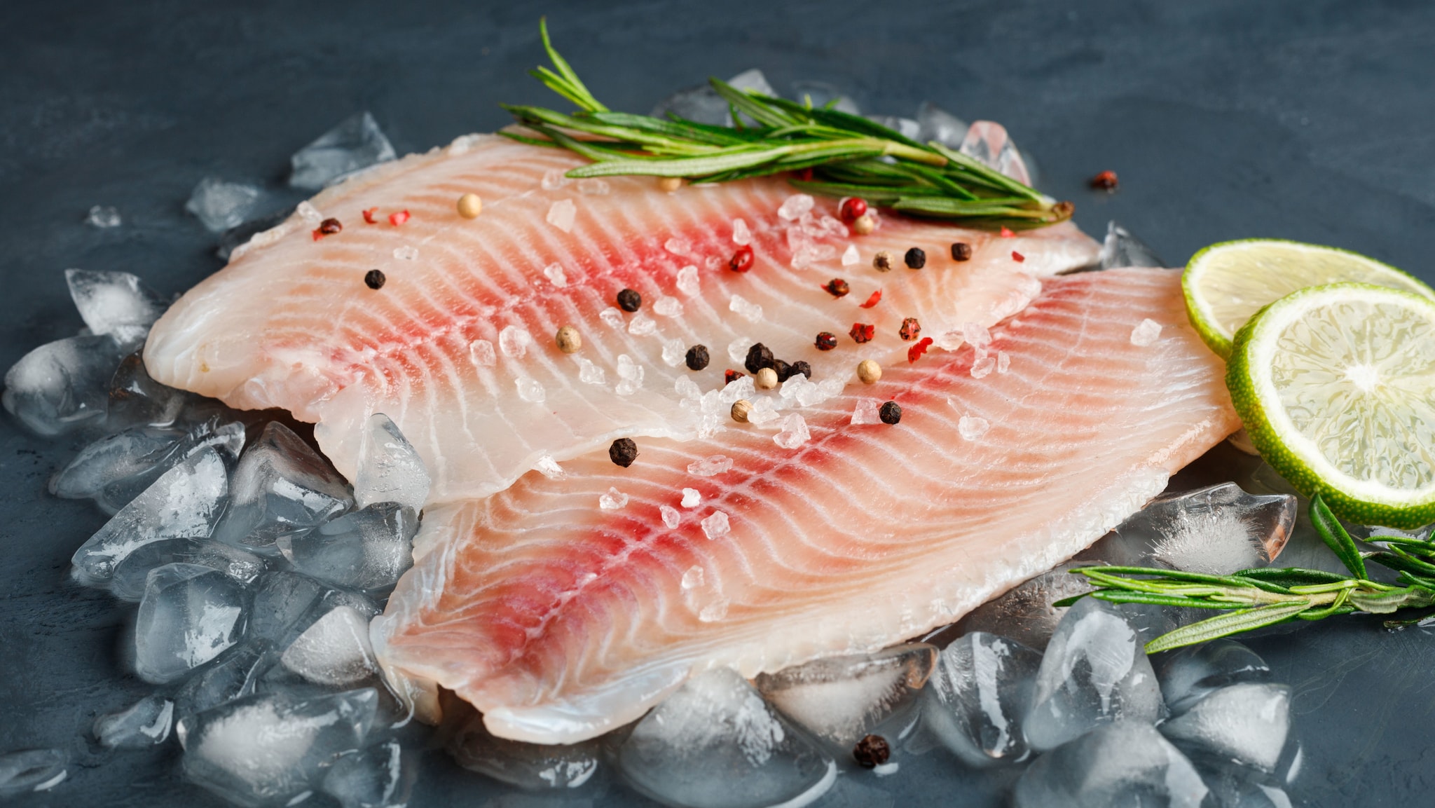 Zwei Scheiben roher Fischfilets auf halb geschmolzenen Eiswürfeln, garniert mit Kräutern und Limettenscheiben.
