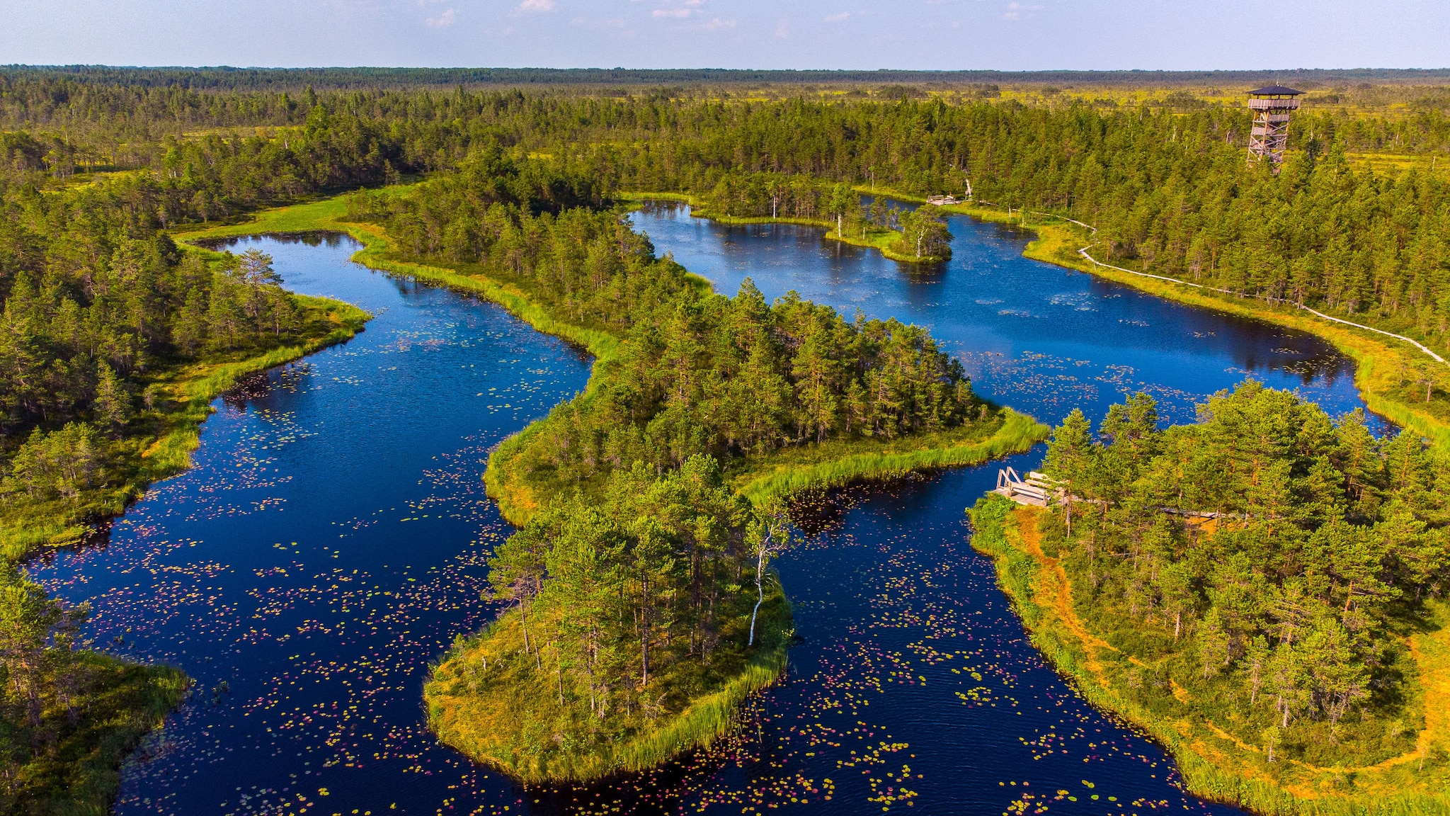 Luftaufnahme einer zerklüfteten Moorlandschaft mit grünem Waldgebiet.