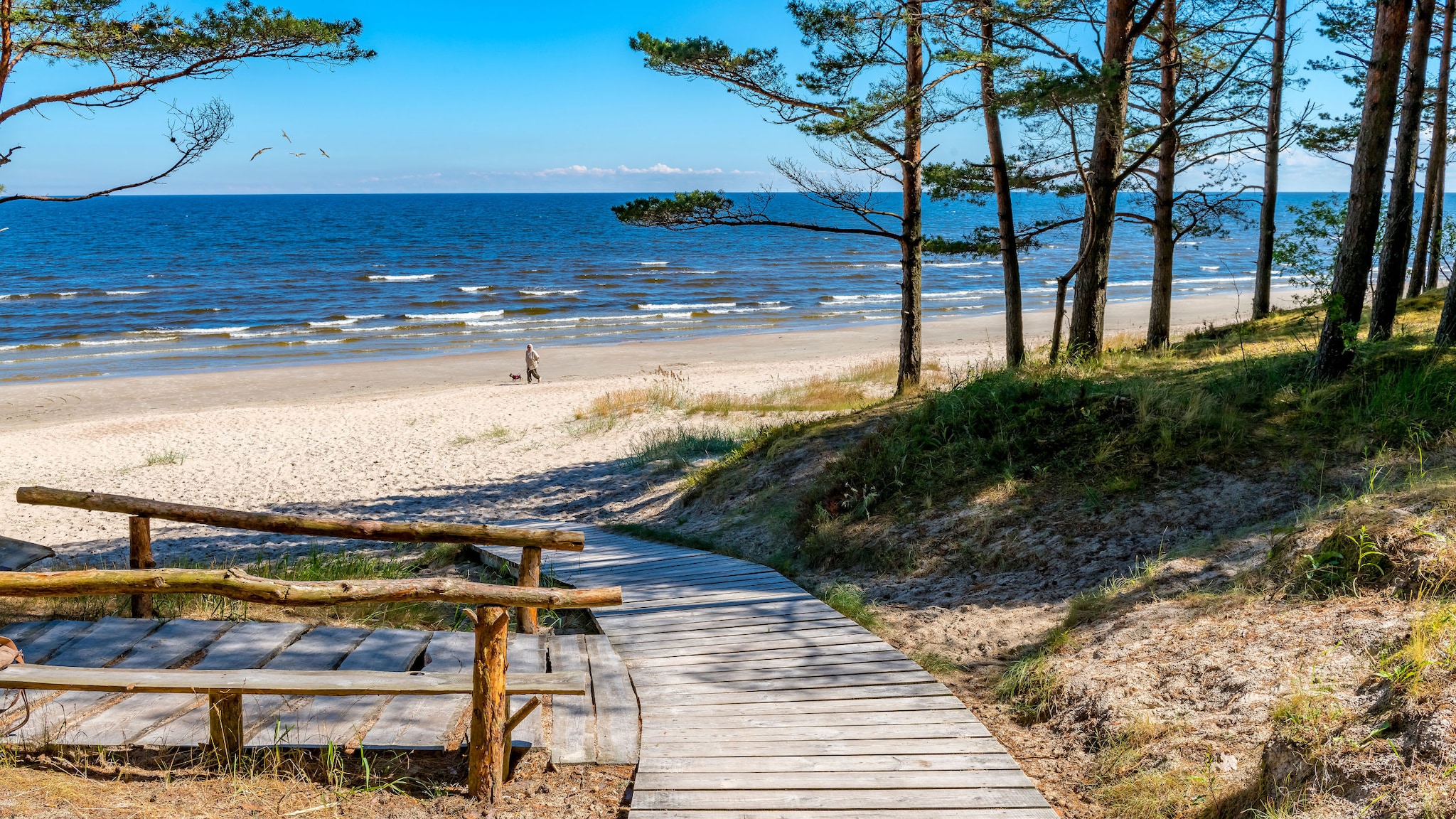 Eine Person läuft mit Hund an einem Sandstrand am Meer entlang, im Vordergrund führen Holzpfade durch bewachsene Dünen mit Bäumen.