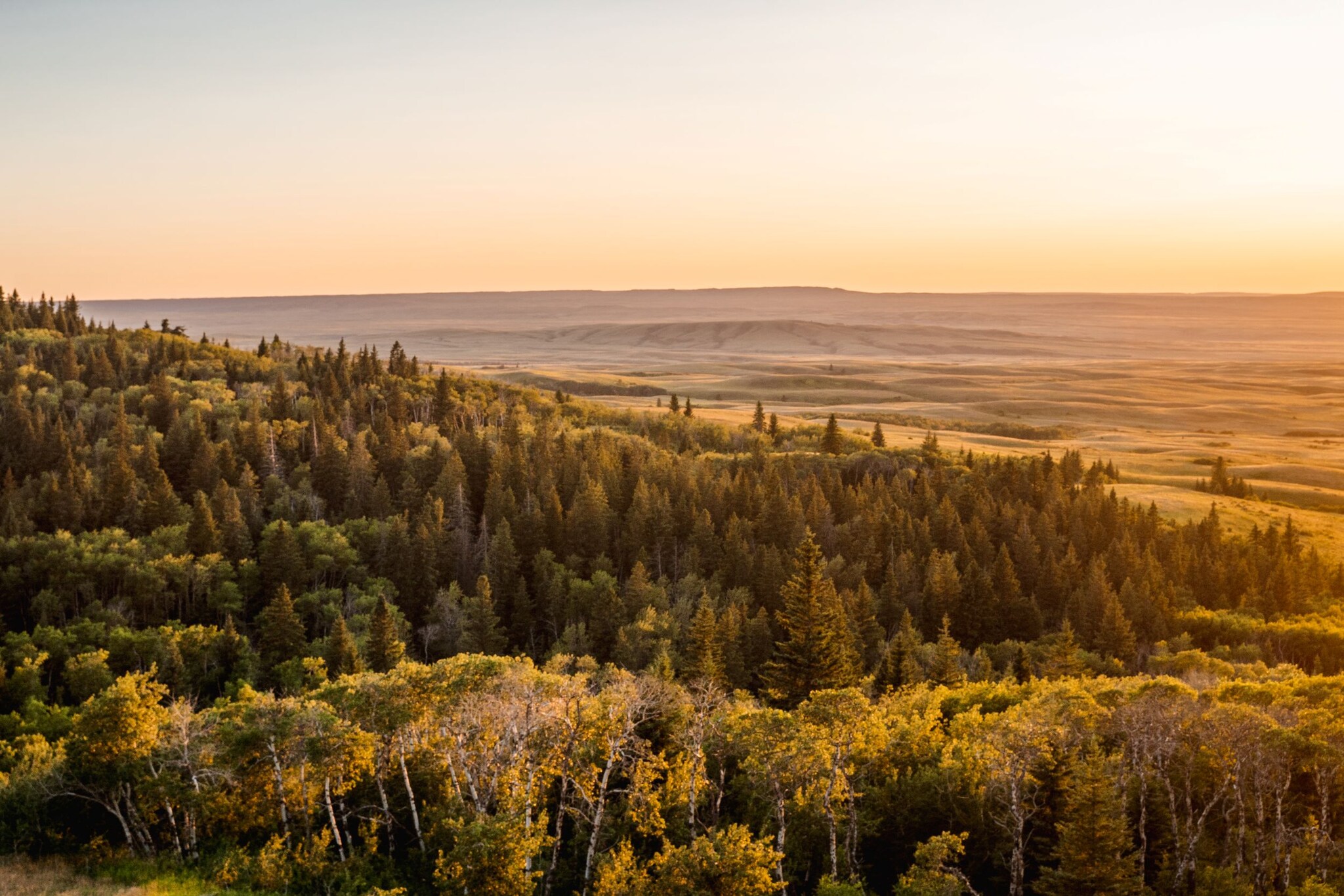 Blick von oben auf einen Hügel mit Wald bei Sonnenuntergang.