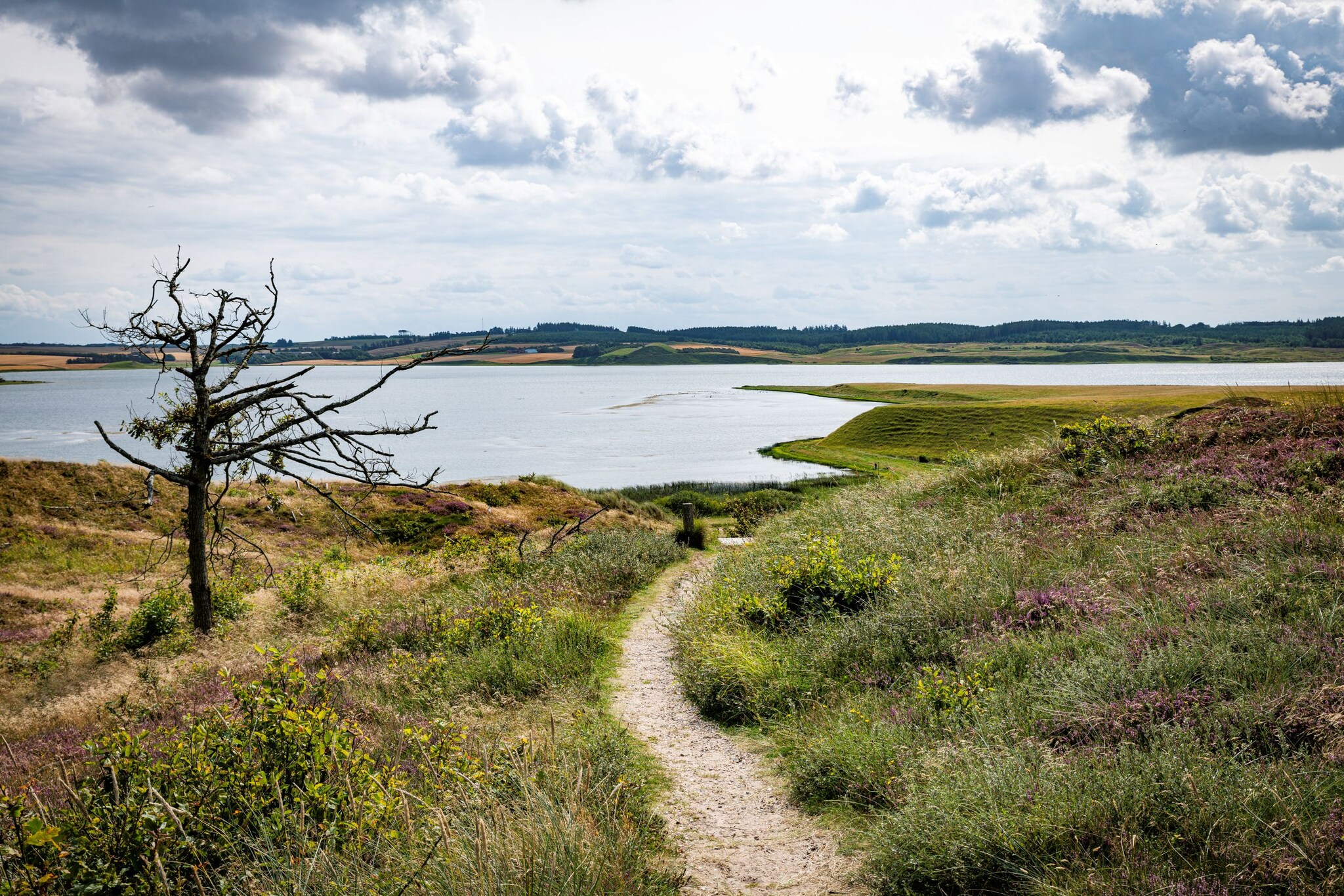 Dünenlandschaft am Wasser bei bewölktem Himmel.