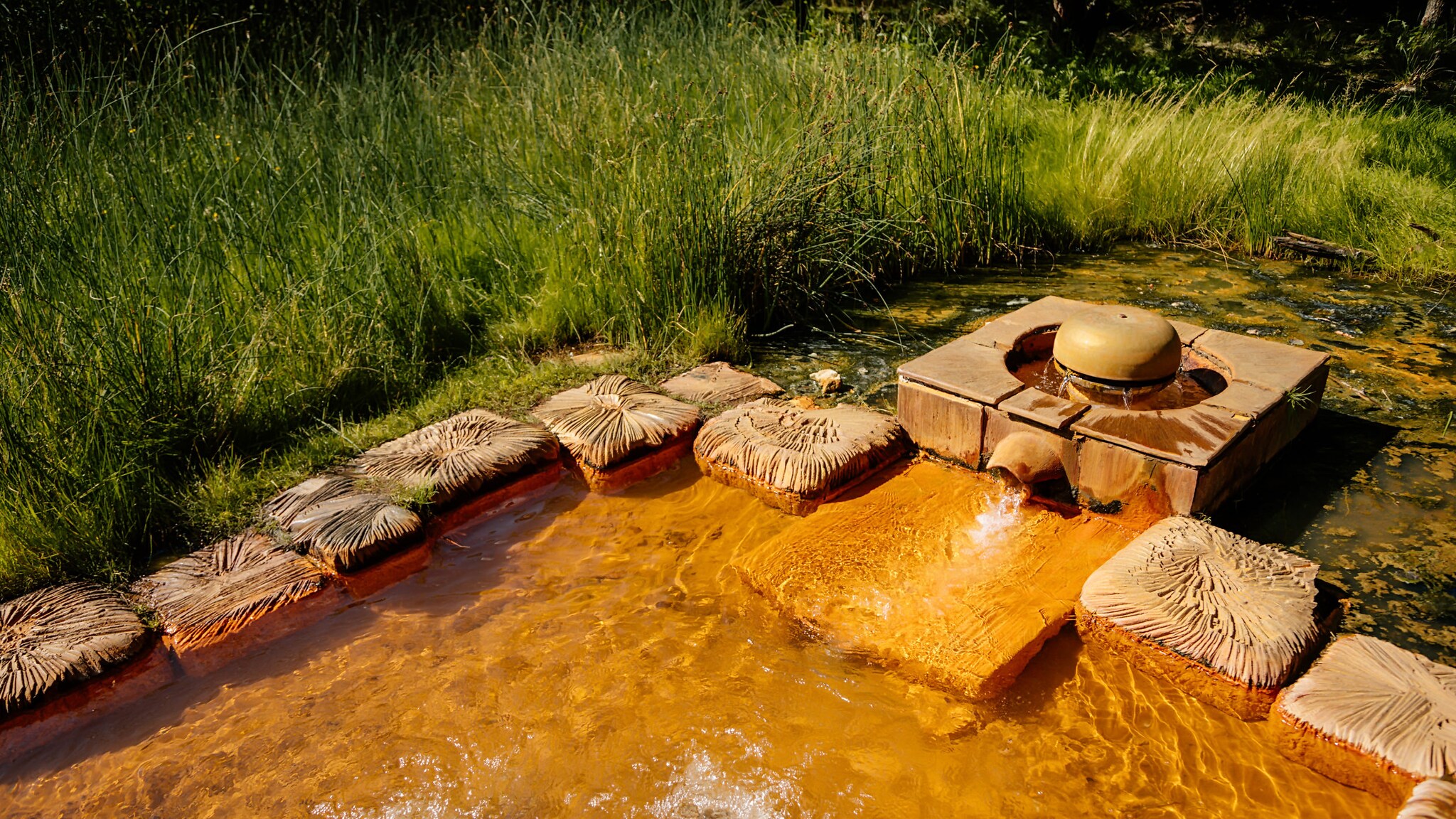Angelegte, in Steinen gefasste Mineralquelle vor hohem grünen Gras im Naturschutzgebiet Soos.