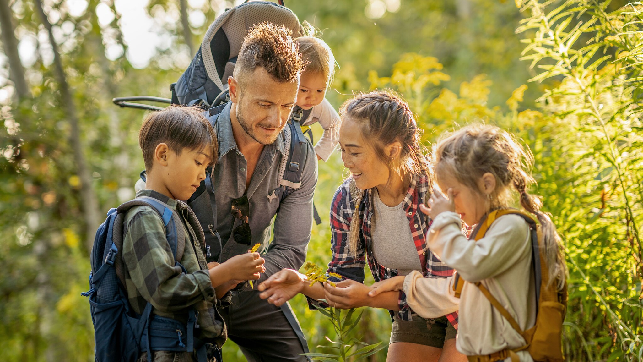 Eine Familie steht im Wald und schaut sich Pflanzen an, die der Vater in der Hand hält.