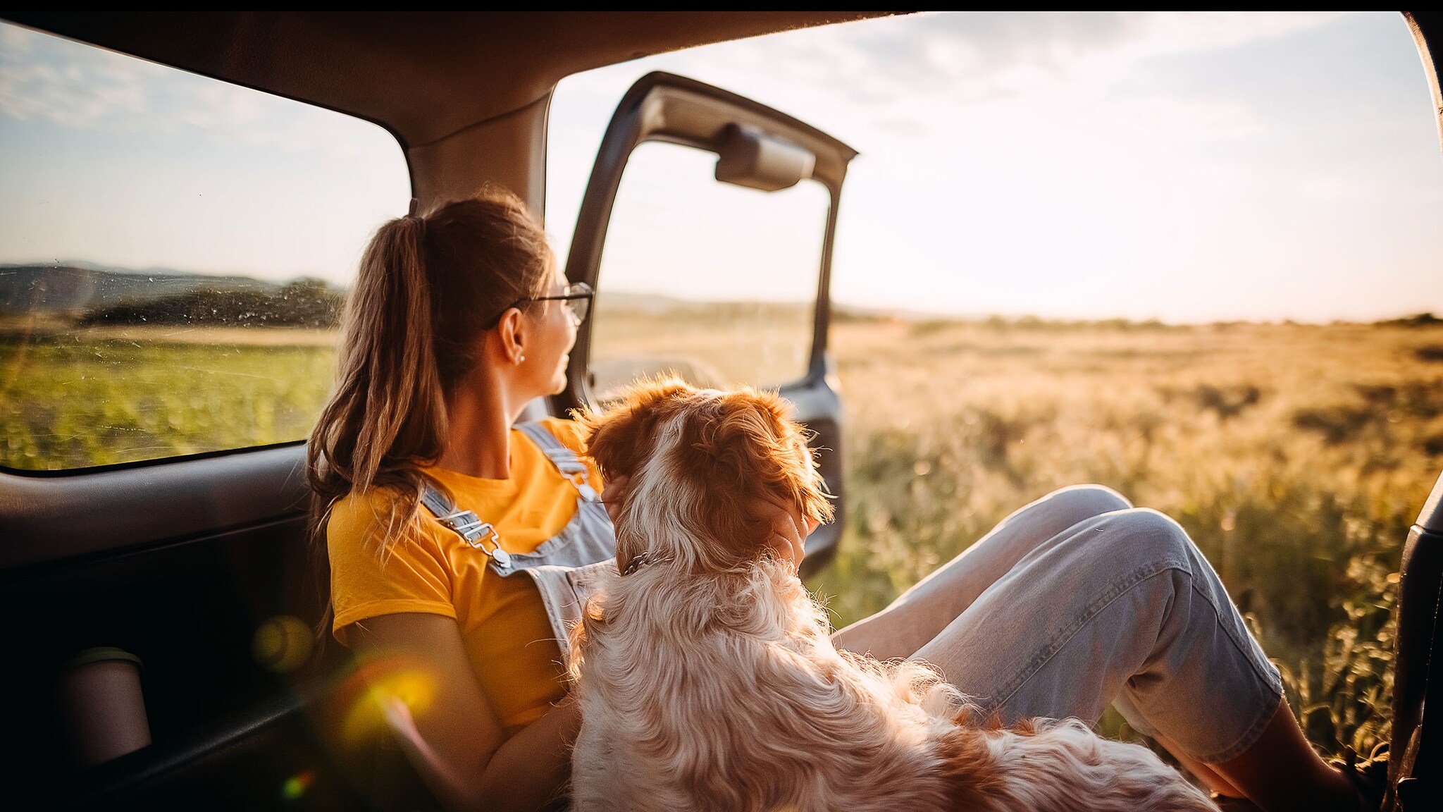 Eine Frau und ein Hund sitzen im hinteren Teil eines Vans und schauen in die Ferne.