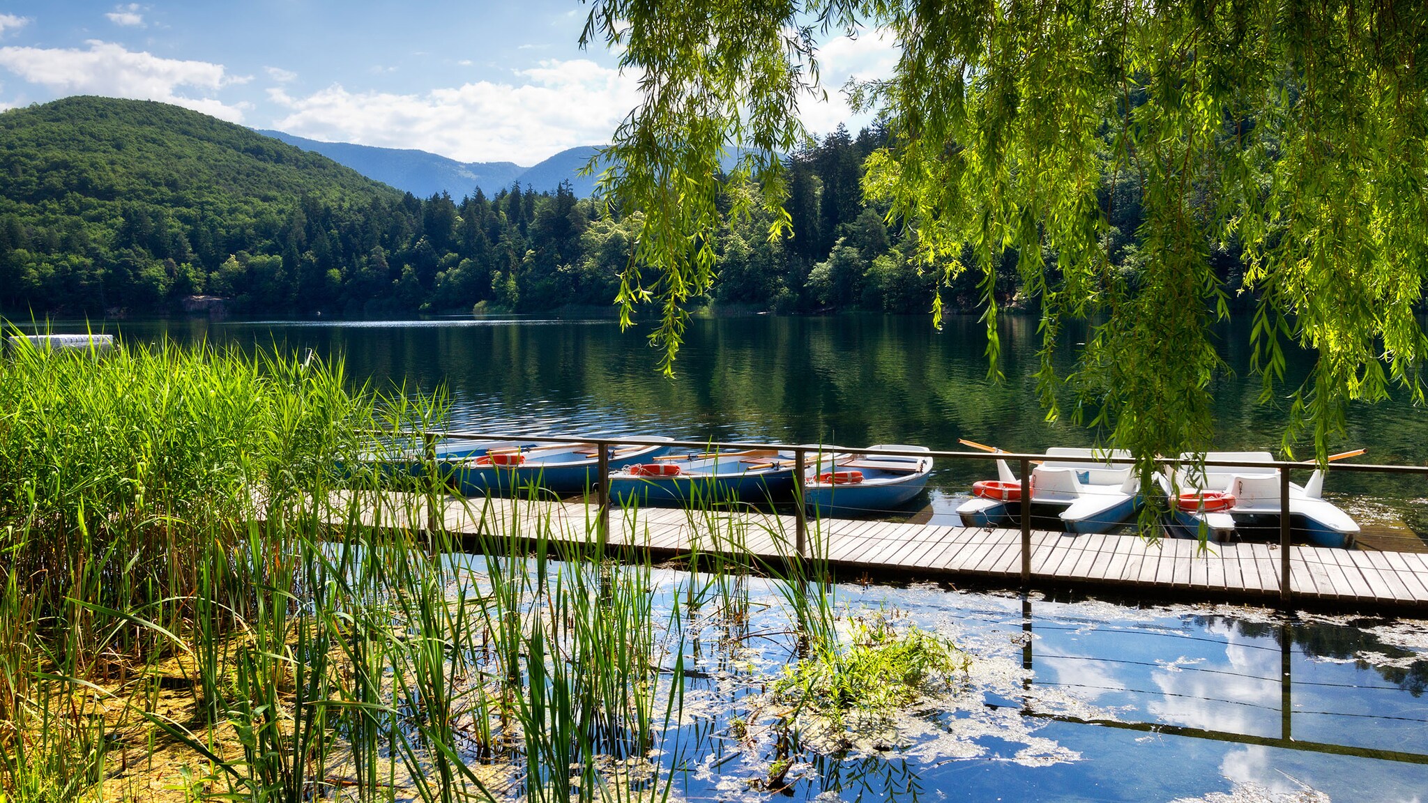 Idyllischer, von Wald umgebener See mit Ruderbooten an einem Holzsteg vor Bergpanorama. Im Vordergrund grüne Baumwipfel und Schilfrohr im Wasser.