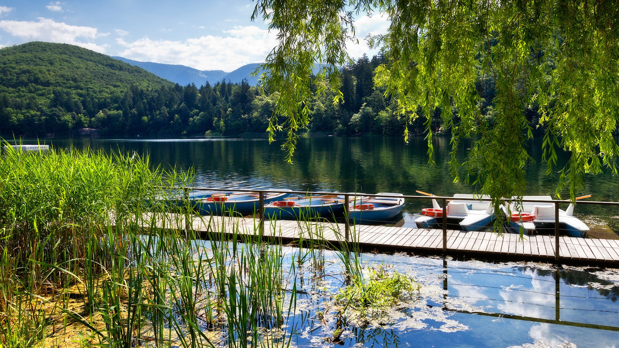 Idyllischer, von Wald umgebener See mit Ruderbooten an einem Holzsteg vor Bergpanorama. Im Vordergrund grüne Baumwipfel und Schilfrohr im Wasser.