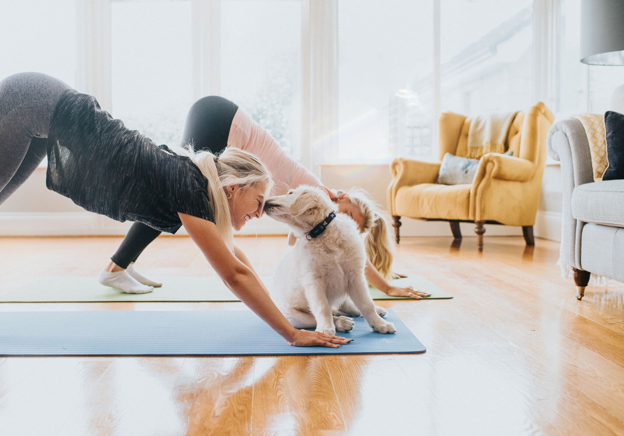 Zwei Frauen machen Yoga auf einer Matte mit Hund.