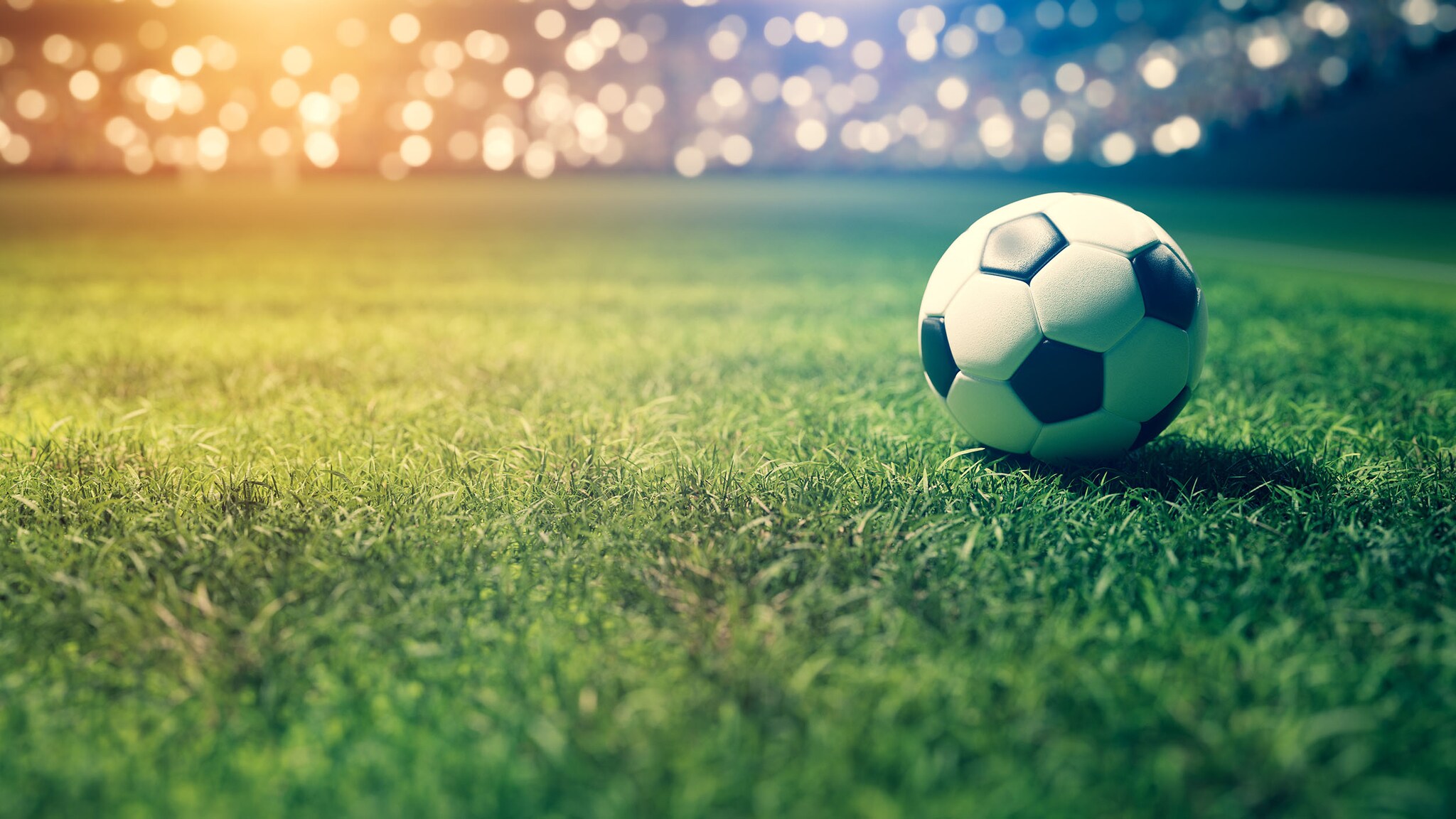 Ein Fußball liegt auf einer Rasenfläche in einem Stadion, im Hintergrund unscharfe Lichtpunkte.