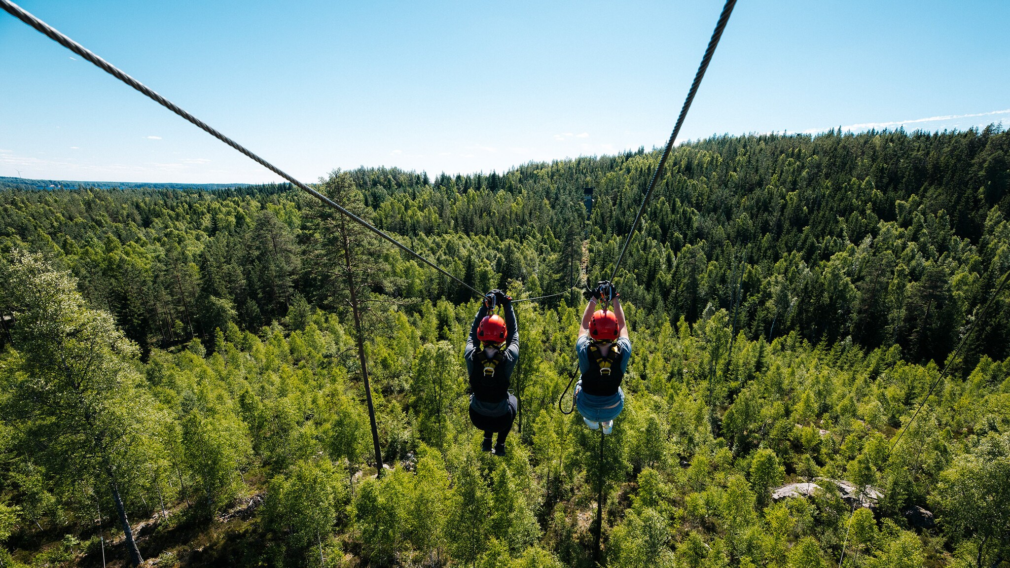 Rückansicht von zwei Personen mit roten Helmen, die an einer Zipline hängen über einem Waldgebiet.