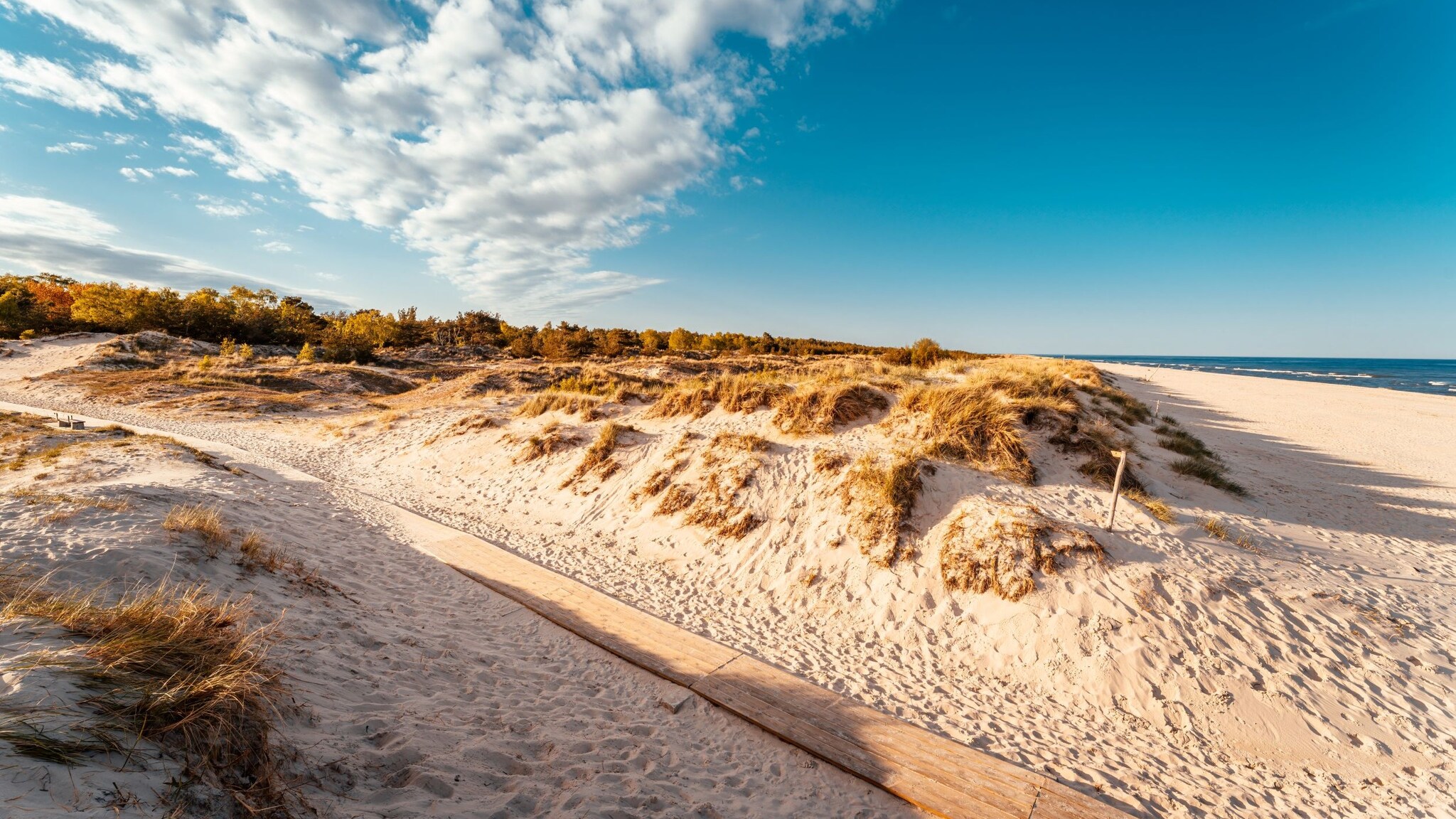 Der Strand Sandhammaren mit weißem Sand und Dünen am blauen Meer. 