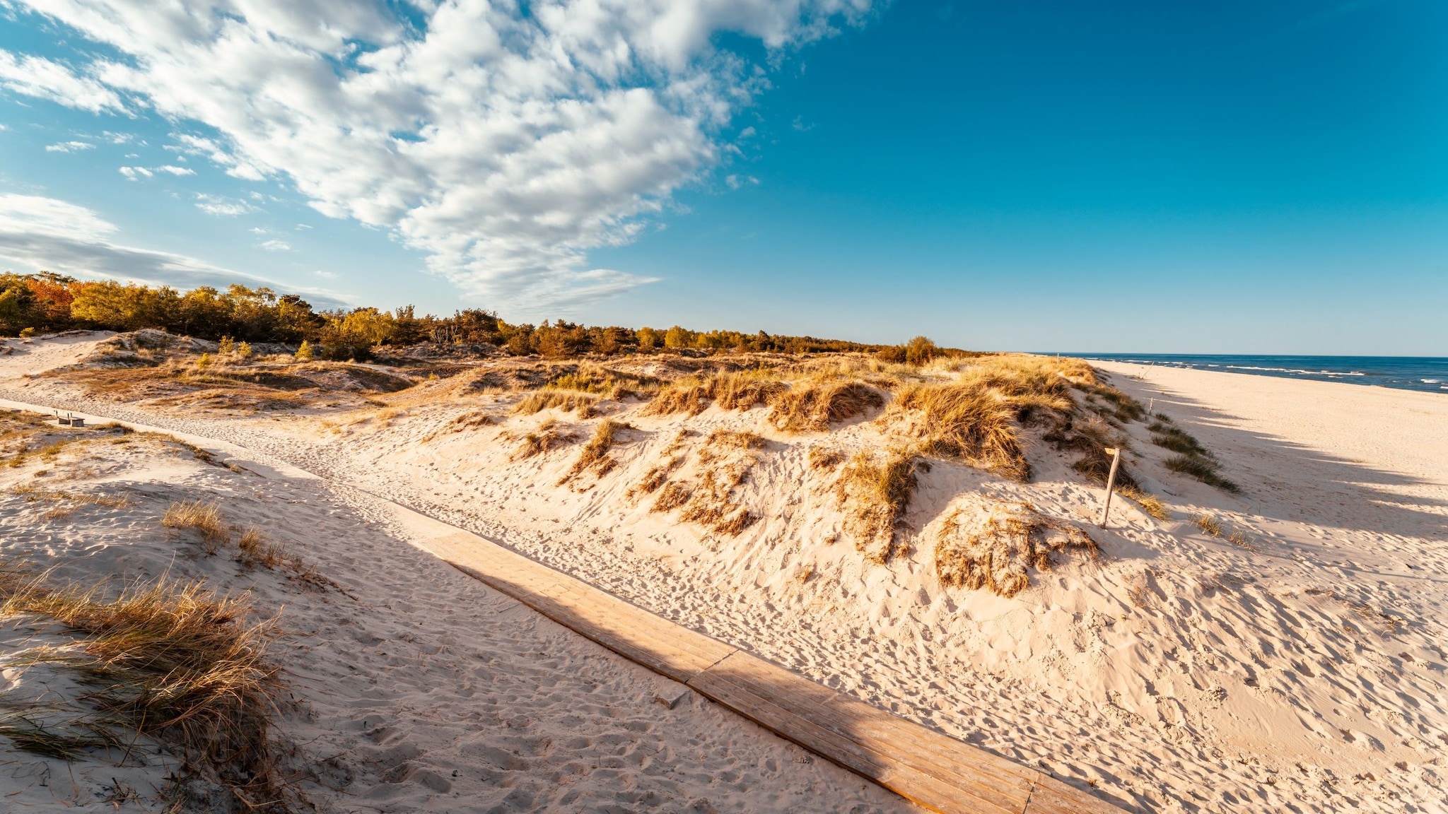 Der Strand Sandhammaren mit weißem Sand und Dünen am blauen Meer.