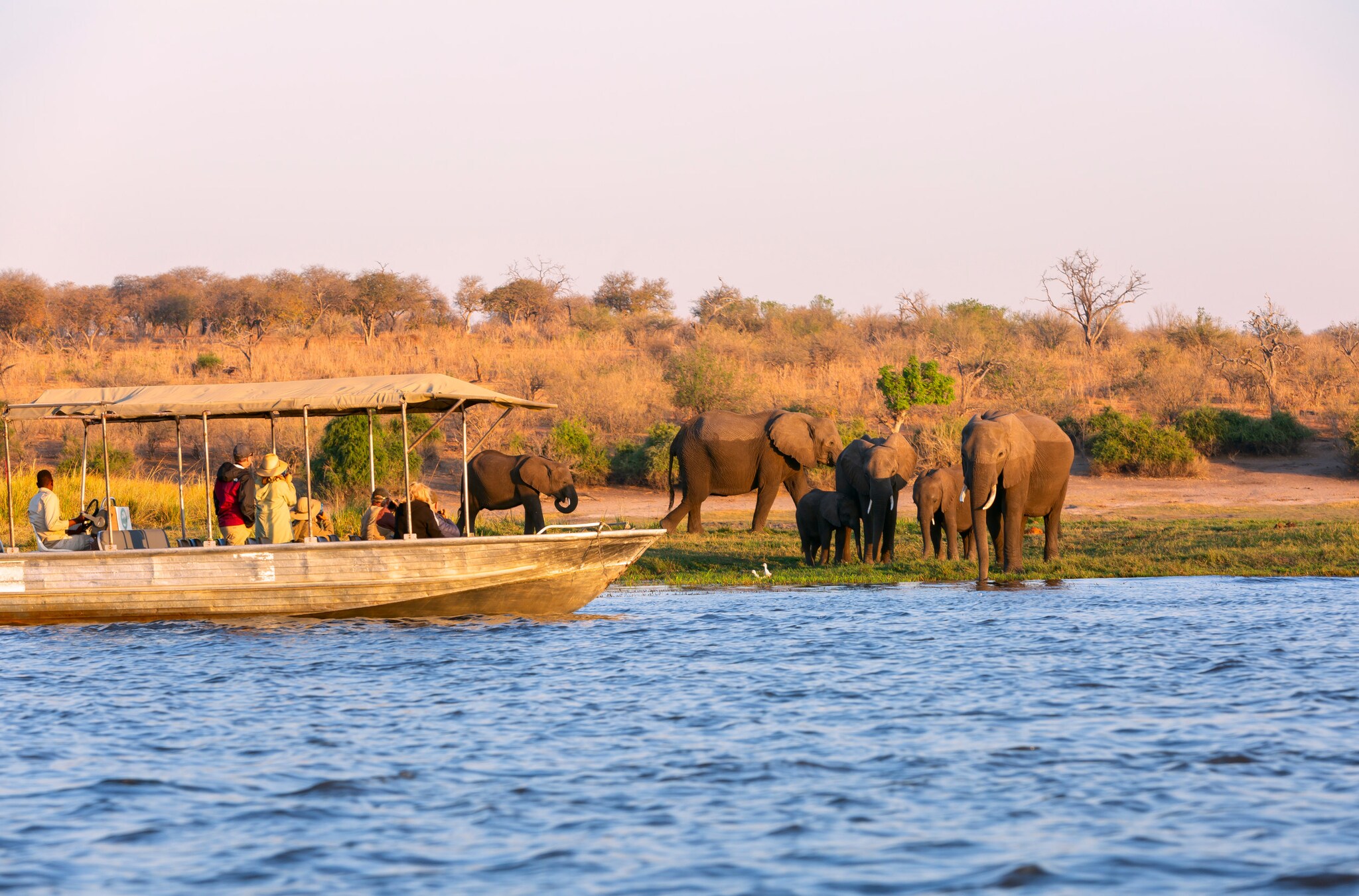 Boot mit Menschen auf einem Fluss in Botswana, am Ufer stehen Elefanten.
