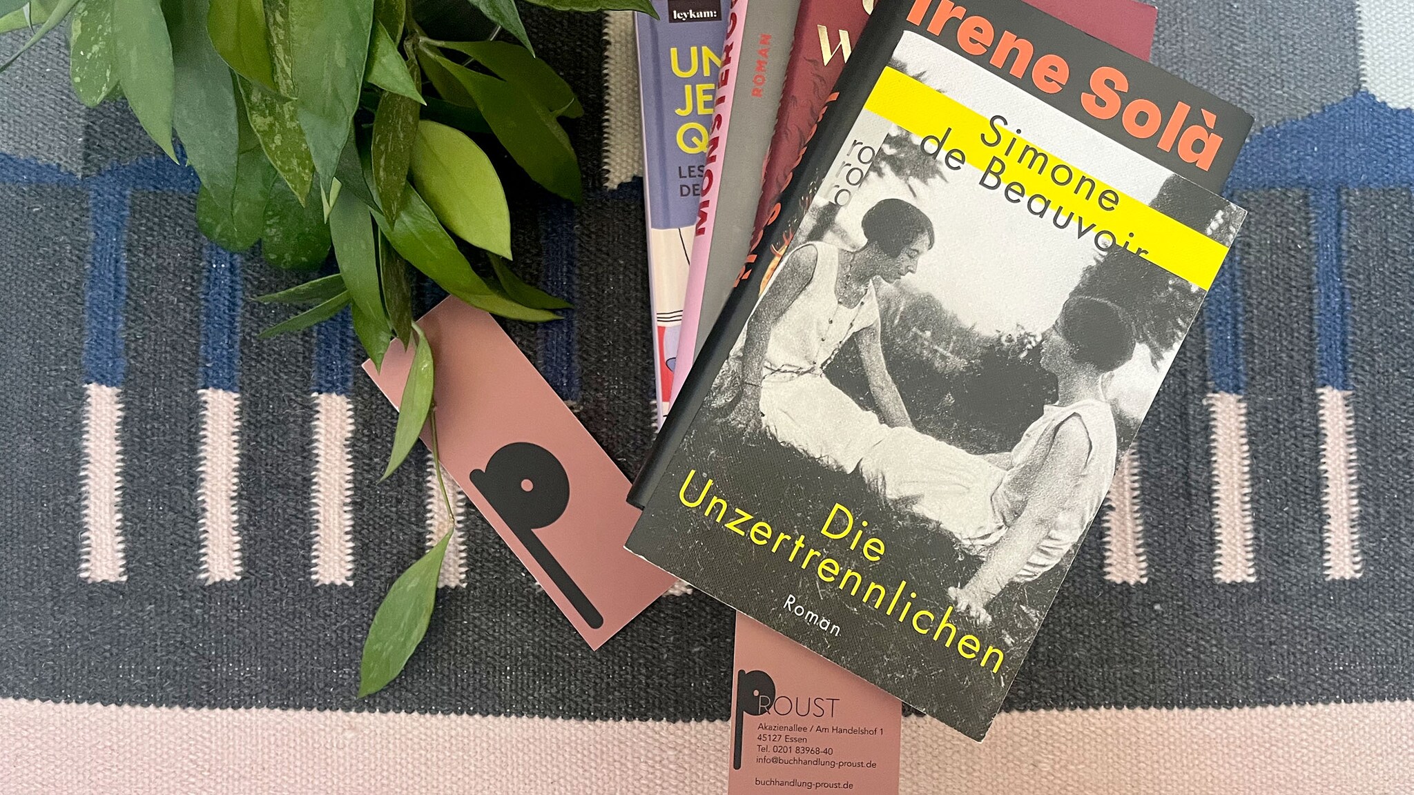 Ein Teppich, auf dem ein Stapel Bücher liegt mit Lesezeichen, daneben eine Pflanze.