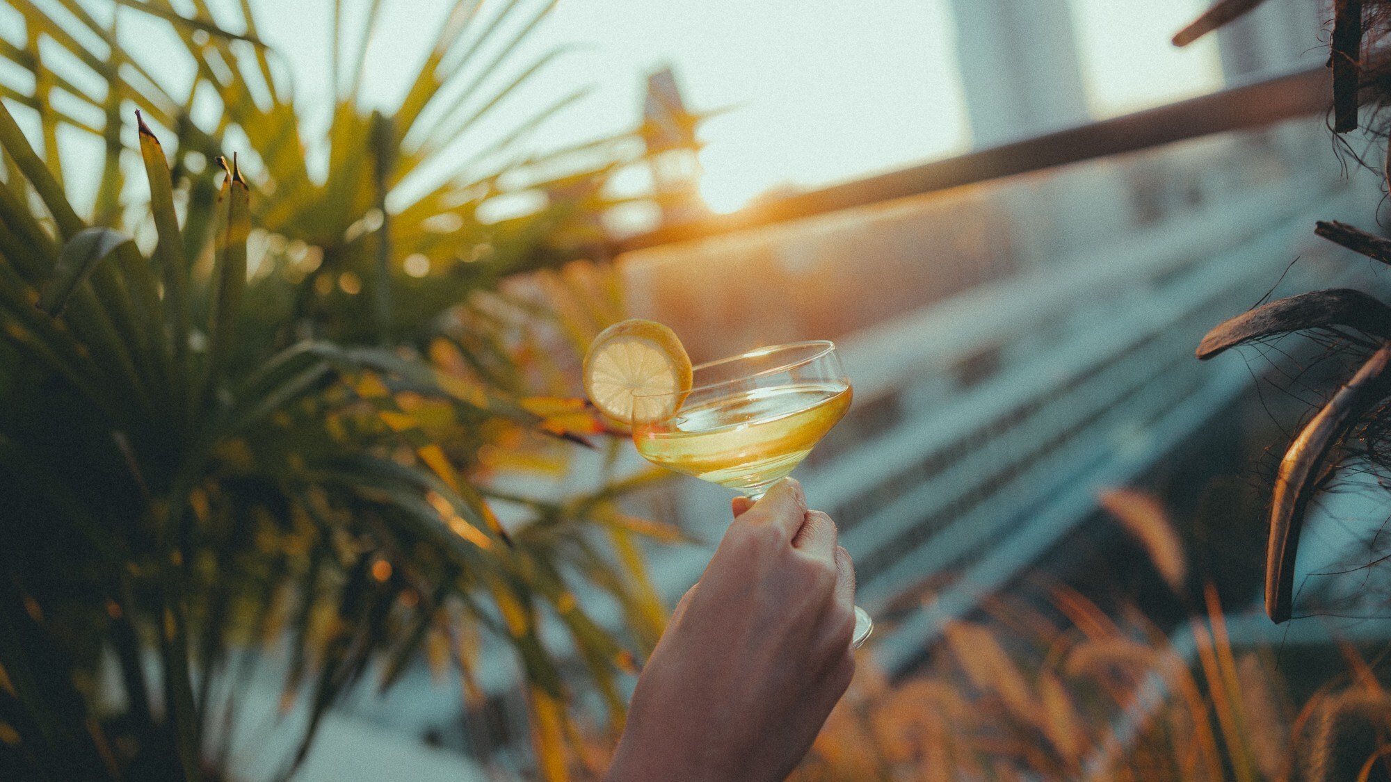 Die Aussicht von der Monkey Bar in Berlin
