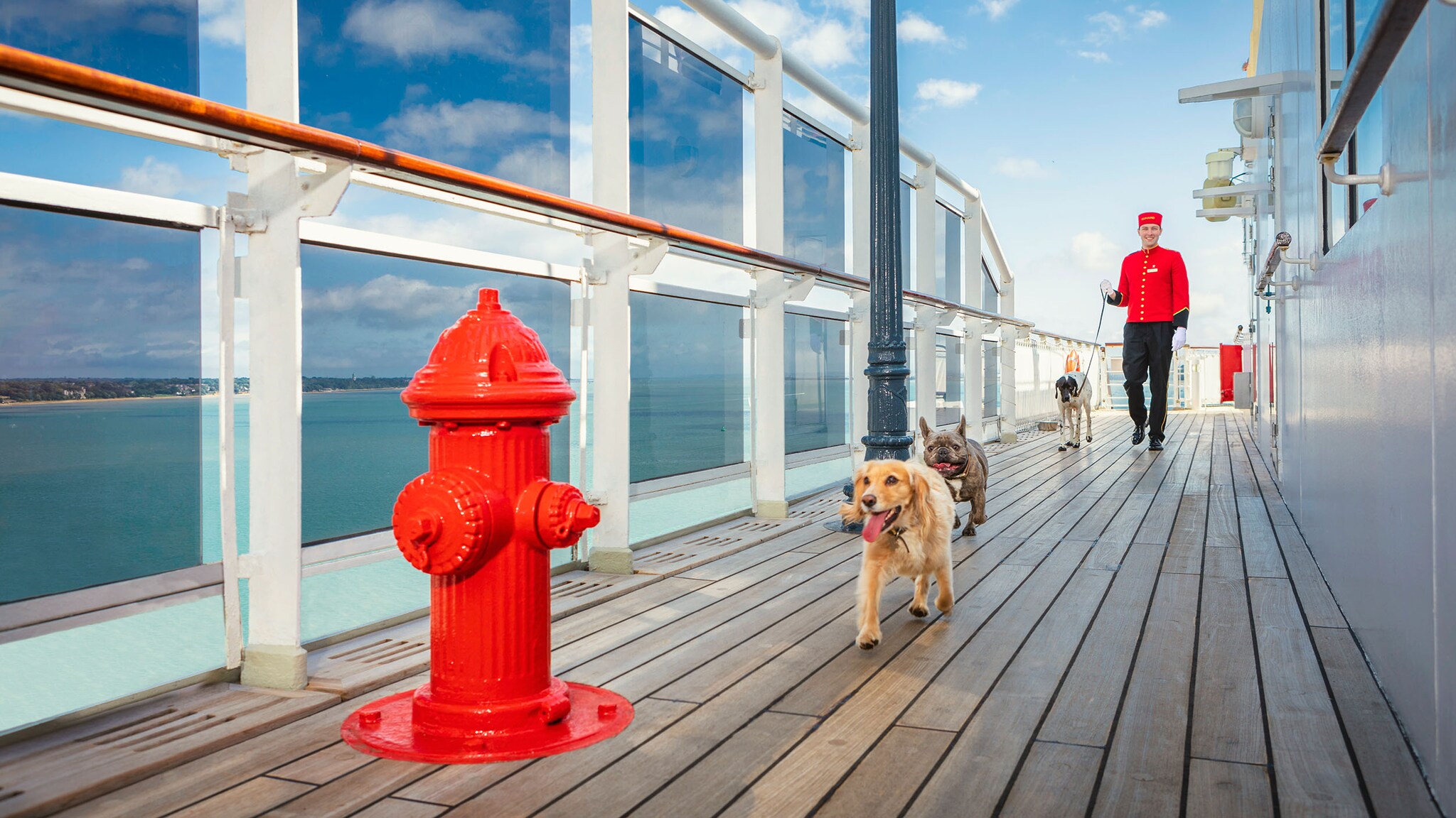 Ein Concierge geht mit drei Hunden auf dem Deck eines Kreuzfahrtschiffes spazieren.