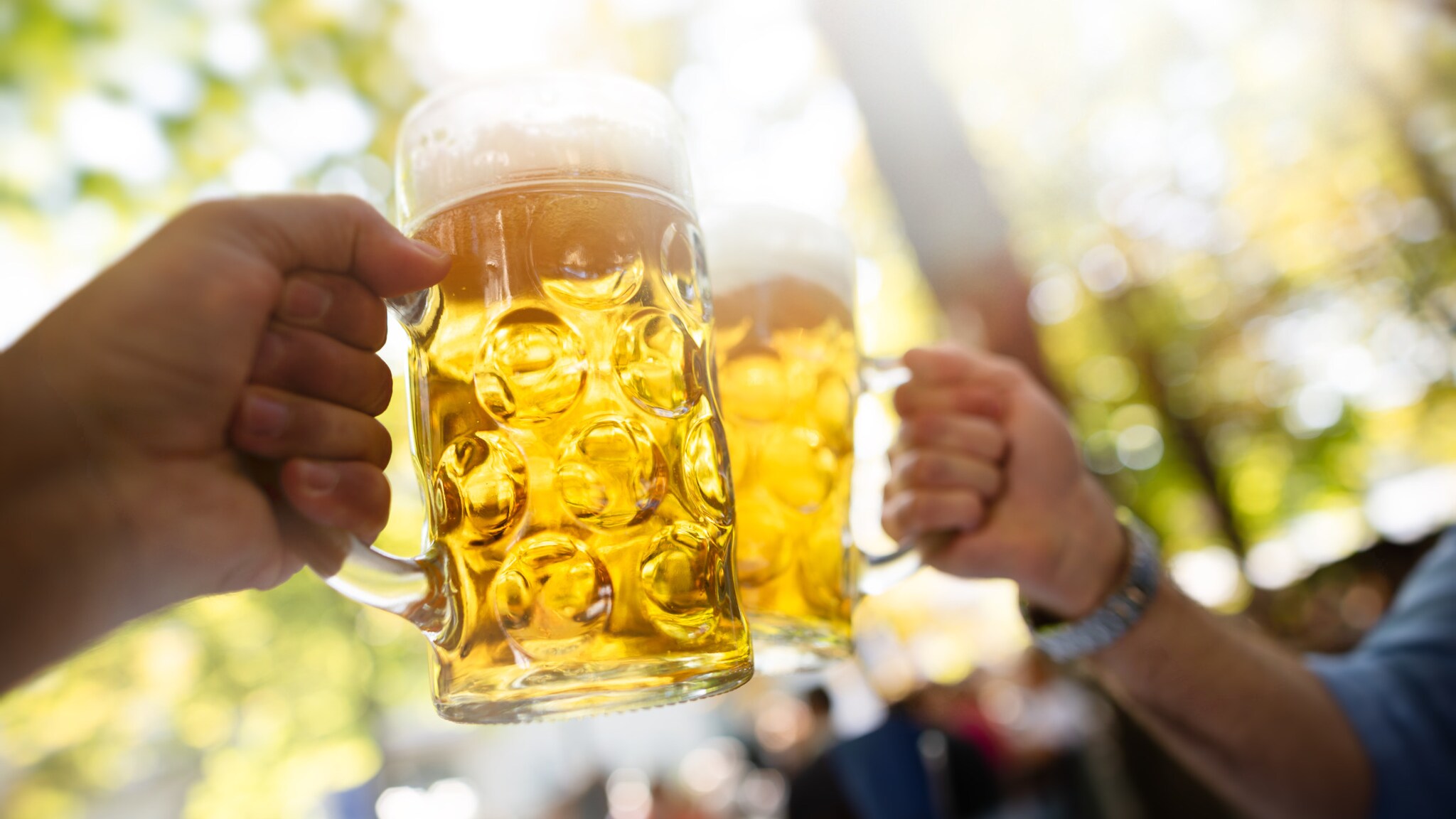 Nahaufnahme von zwei unkenntlichen Personen, die zwei mit Bier gefüllte Maßkrüge aneinanderhalten.