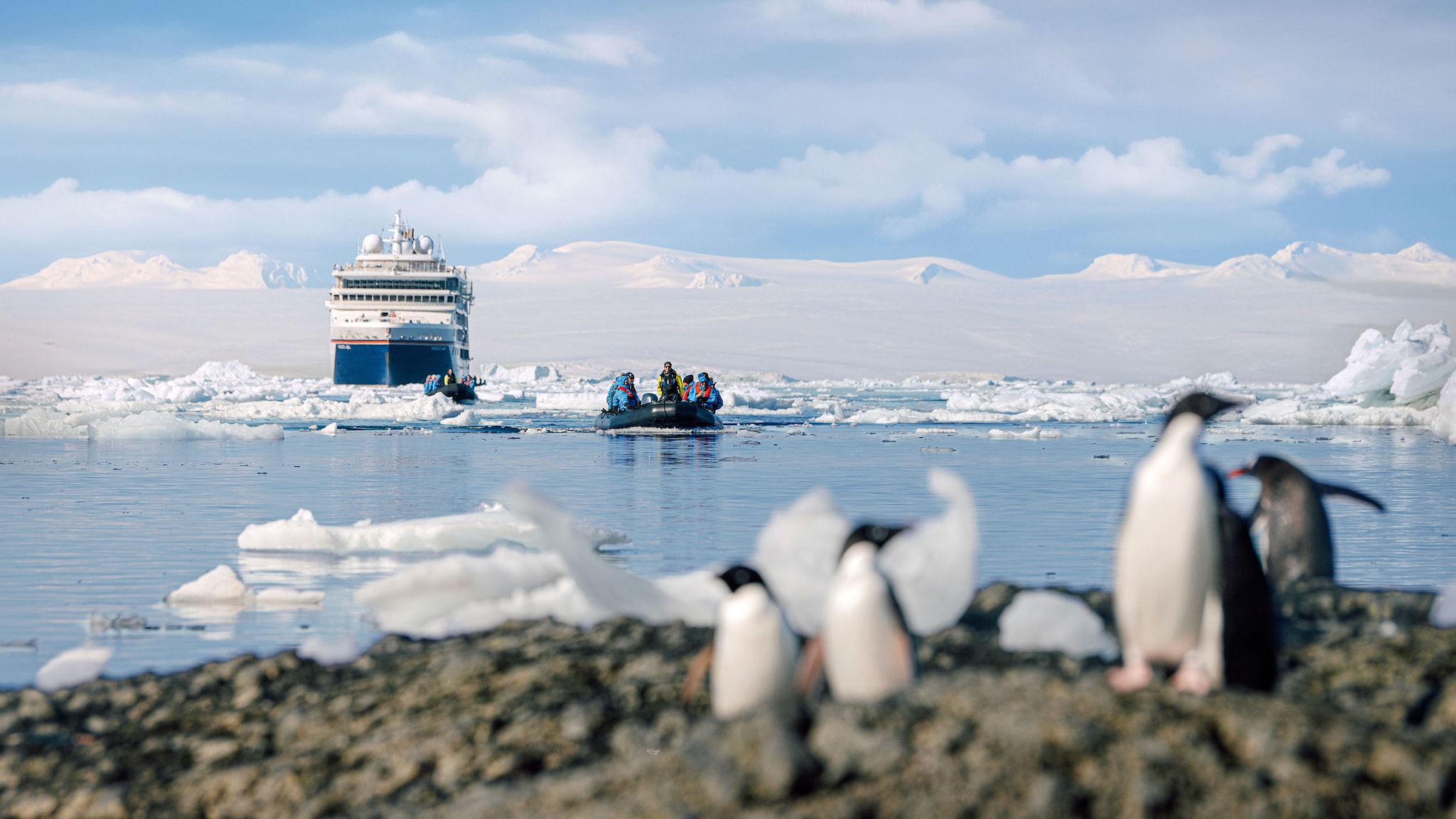Personen in einem Zodiac vor einem Expeditionskreuzfahrtschiff im Eismeer, im Vordergrund stehen Pinguine auf einem Felsen.
