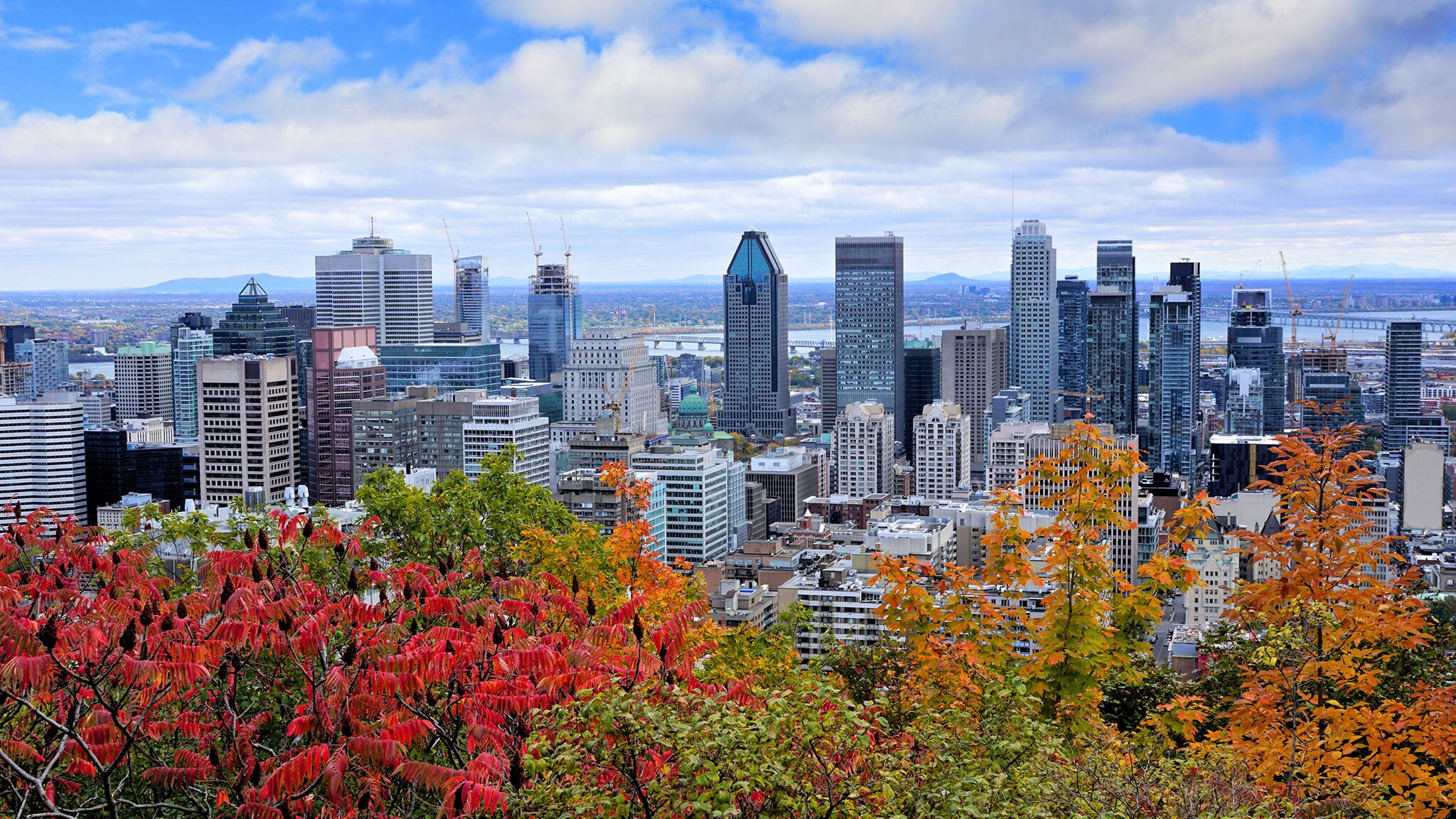 Skyline von Montréal mit herbstlich gefärbten Bäumen im Vordergrund.