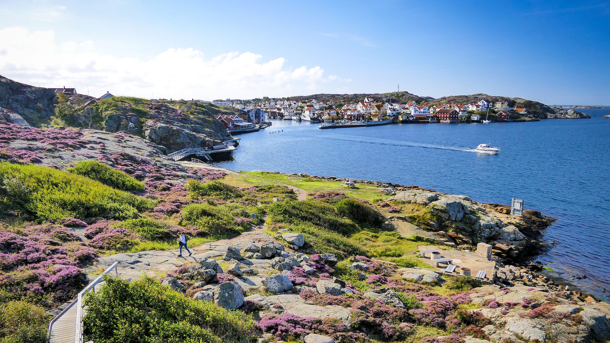 amex-magazin-schweden-fjord-kuestenort Landschaftspanorama mit maritimer Kleinstadt an einer mit Heidekraut bewachsenen Schärenküste bei Sonnenschein.