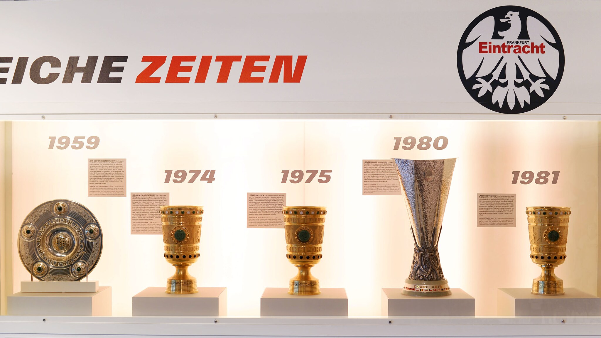 Mehrere Goldpokale stehen nebeneinander in einer beleuchteten Vitrine.