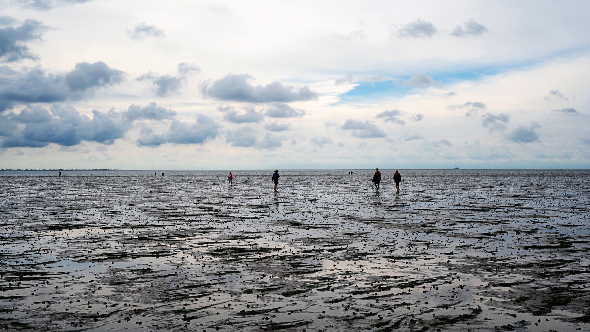Mehre Personen laufen bei Ebbe im Wattenmeer unter bewölktem Himmel.