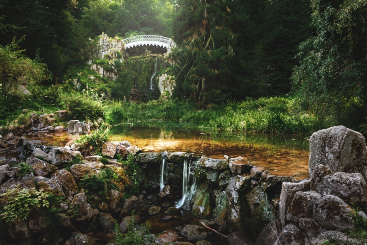 Ein verwunschener Teich mit einer filigranen Brücke im Hintergrund Ein verwunschener Teich mit einer filigranen Brücke im Hintergrund