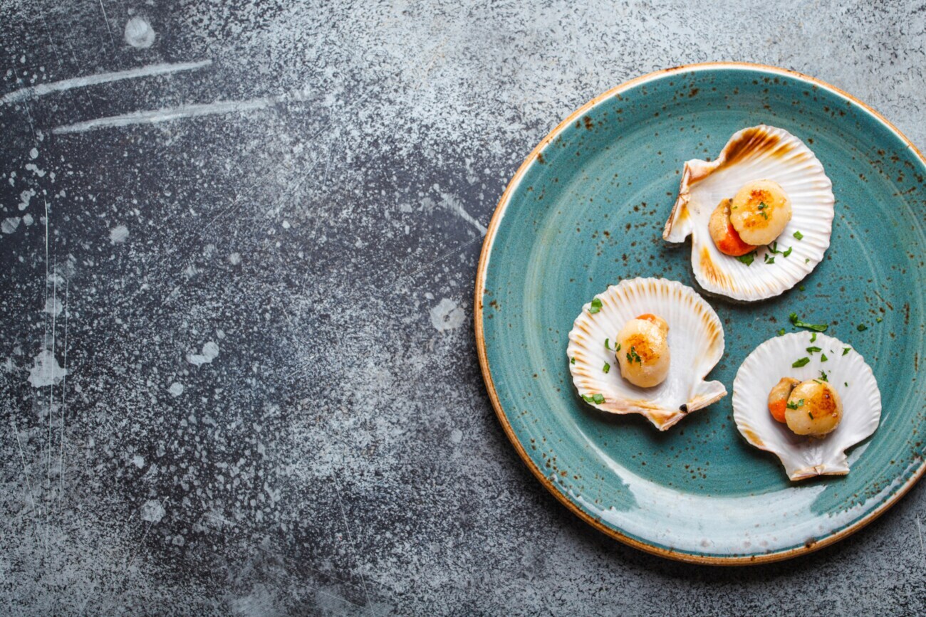 Jakobsmuscheln auf Teller angerichtet