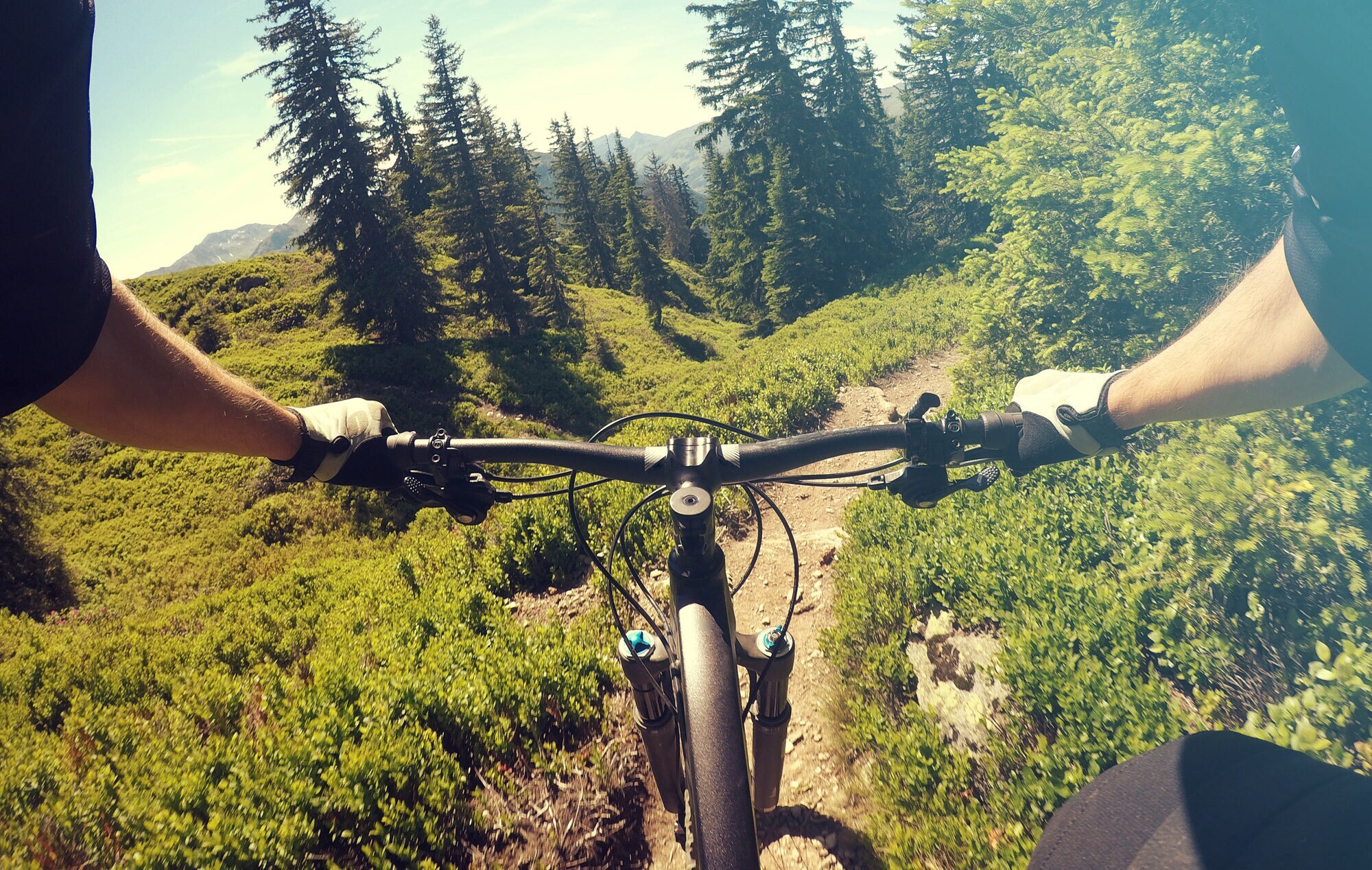 Blick über den Lenker eines Mountainbikes bei einer Fahrt in den Alpen