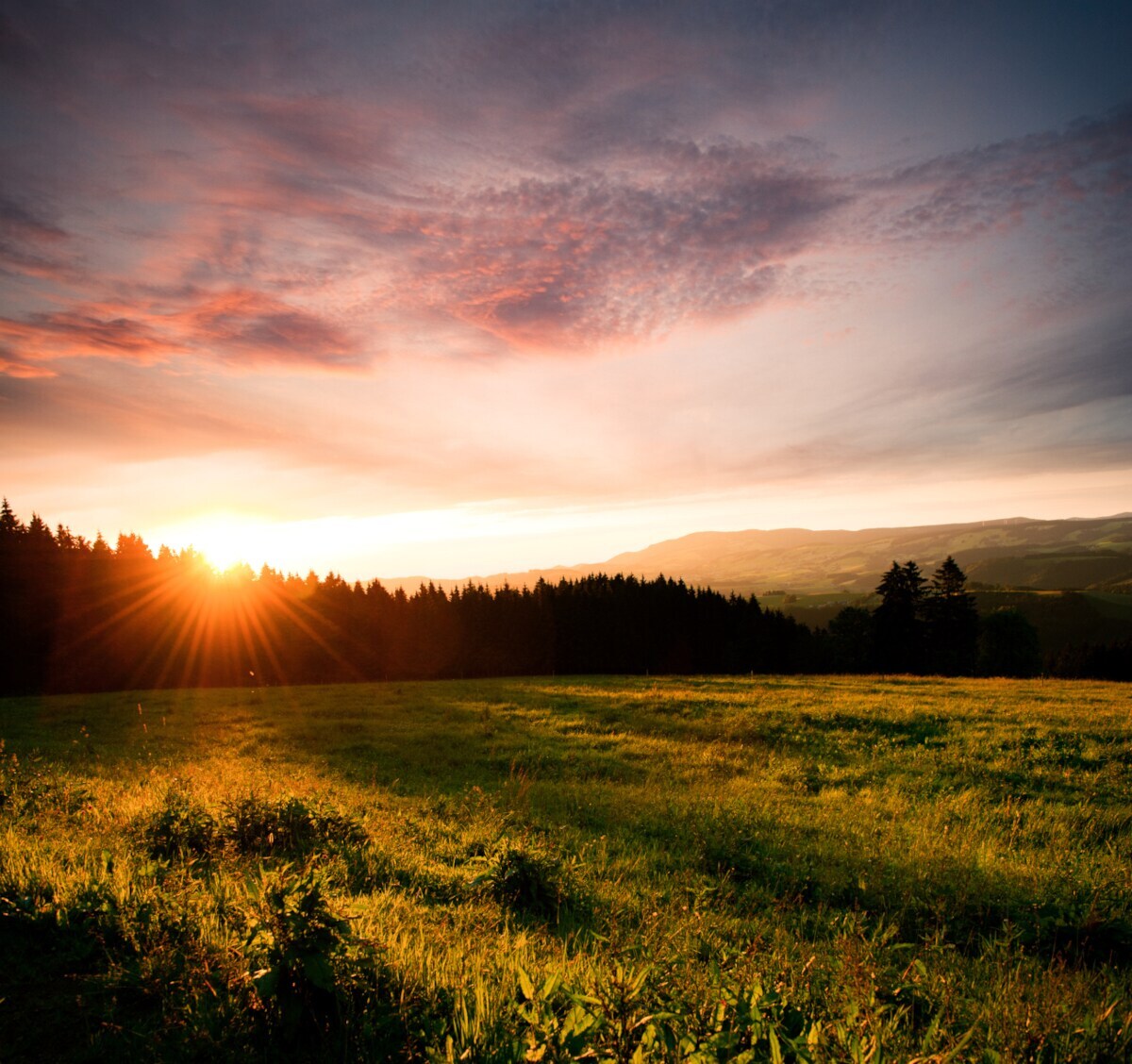 Sonnenuntergang über einer grünen Wiese mit Nadelwald im Hintergrund. Sonnenuntergang über einer grünen Wiese mit Nadelwald im Hintergrund.