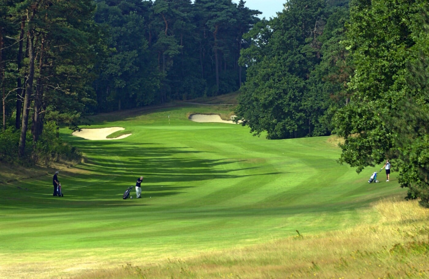 Drei Golfer:innen auf einem Grün des Hamburger Golf-Clubs am Falkenstein