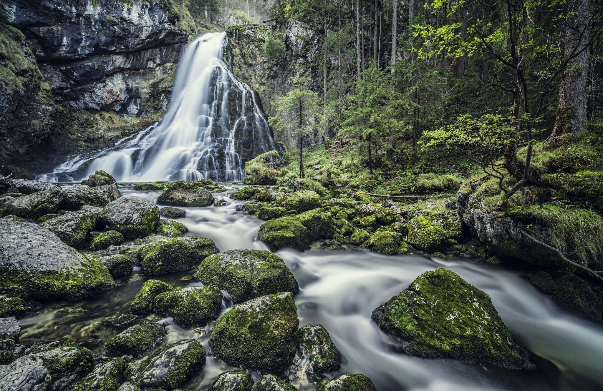 Ein Wasserfall in einem Wald Ein Wasserfall in einem Wald