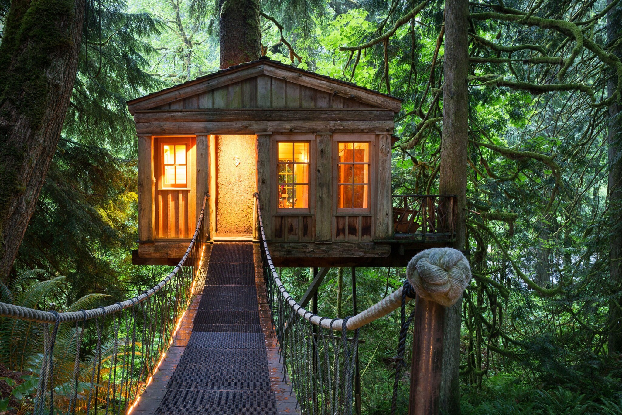 Ein beleuchtetes Baumhaus mit Hängebrücke im Wald