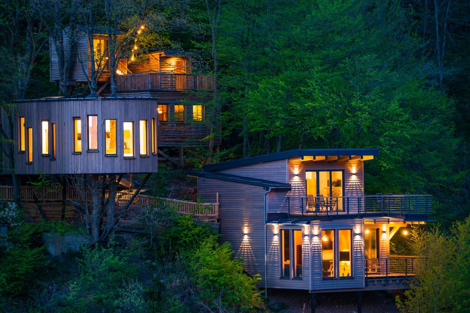 Drei Baumhäuser mit beleuchteten Fenstern zwischen Bäumen Drei Baumhäuser mit beleuchteten Fenstern zwischen Bäumen
