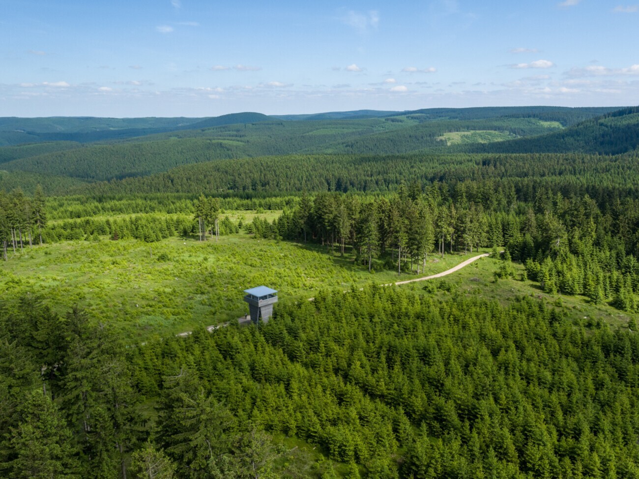 Ein Aussichtsturm steht inmitten eines riesigen Waldgebiets im Thüringer Wald