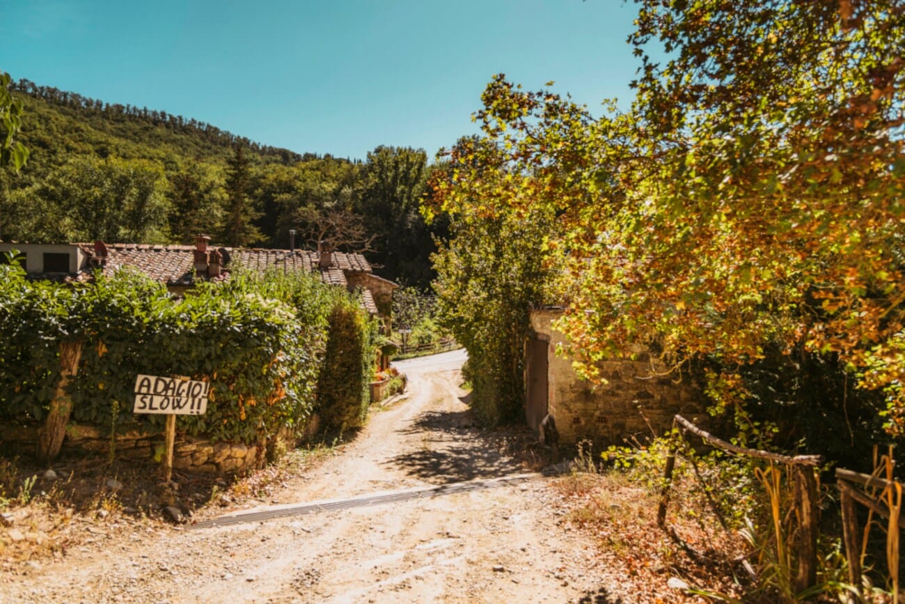 Straße mit flachen Wohnhäusern in einem Weinbaugebiet der Toskana Straße mit flachen Wohnhäusern in einem Weinbaugebiet der Toskana
