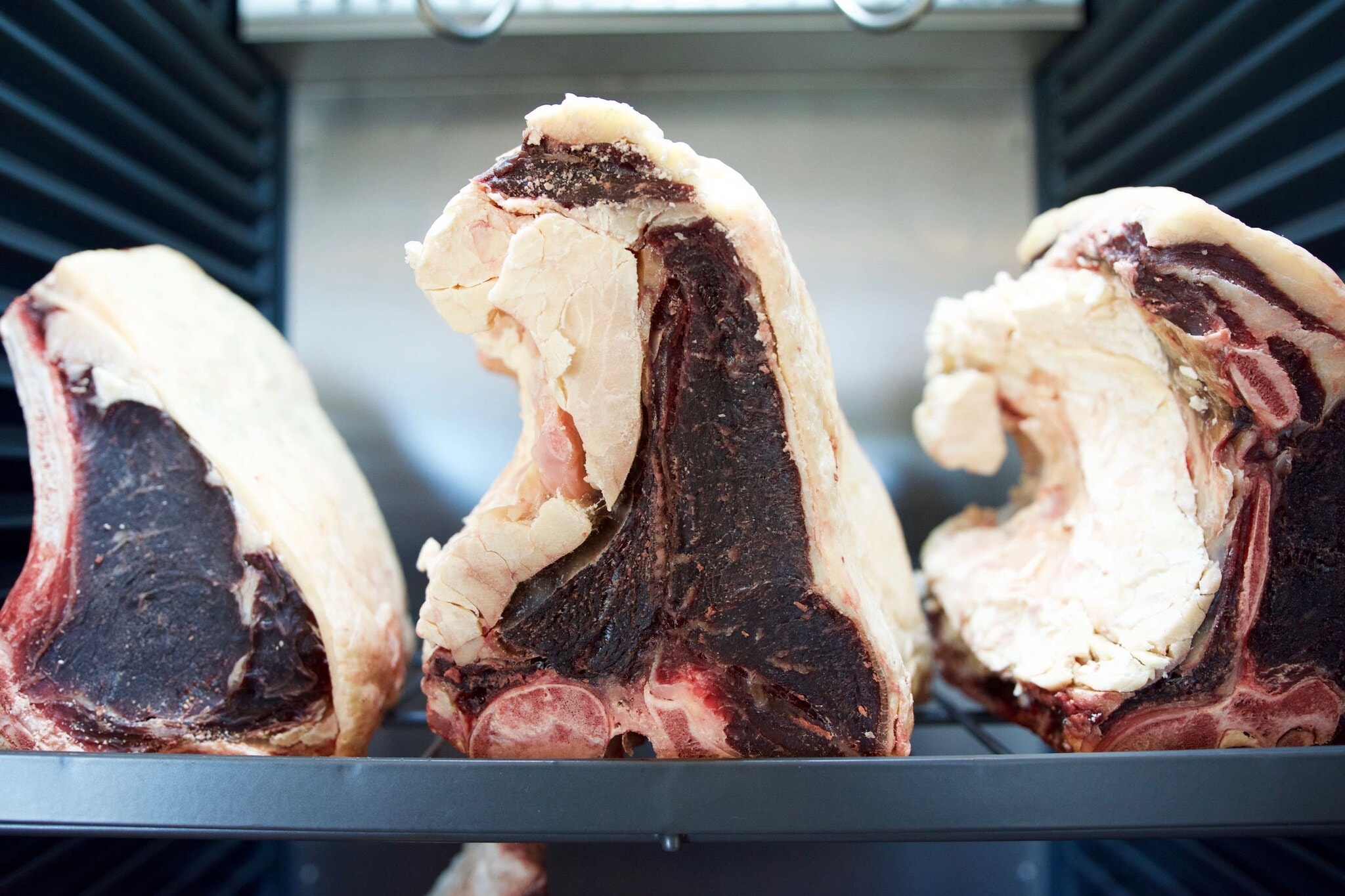 Drei große Steaks in einem Ageing-Cooler Drei große Steaks in einem Ageing-Cooler