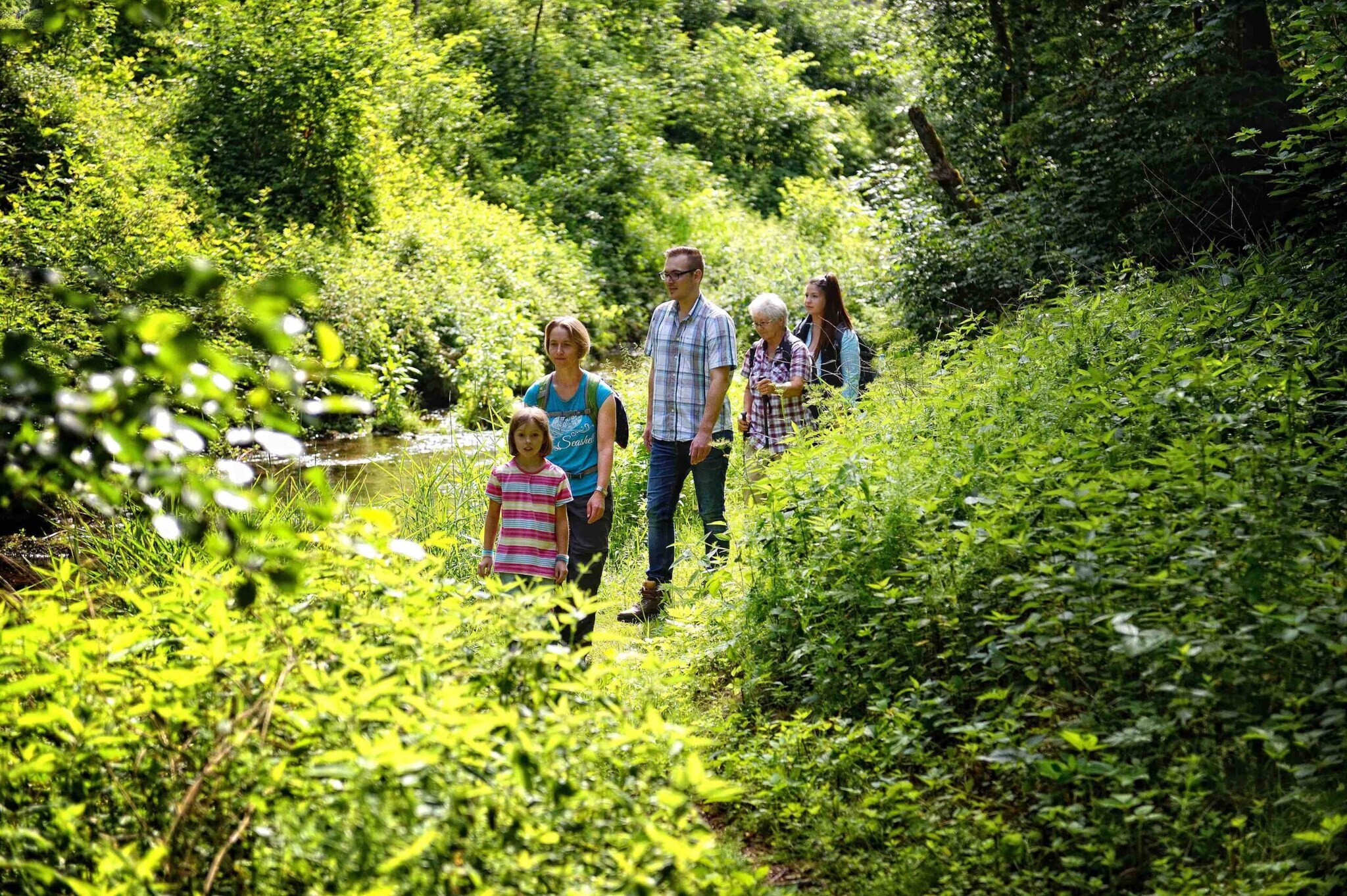 Eine Familie mit Kindern und Großmutter wandert entlang der Teinach