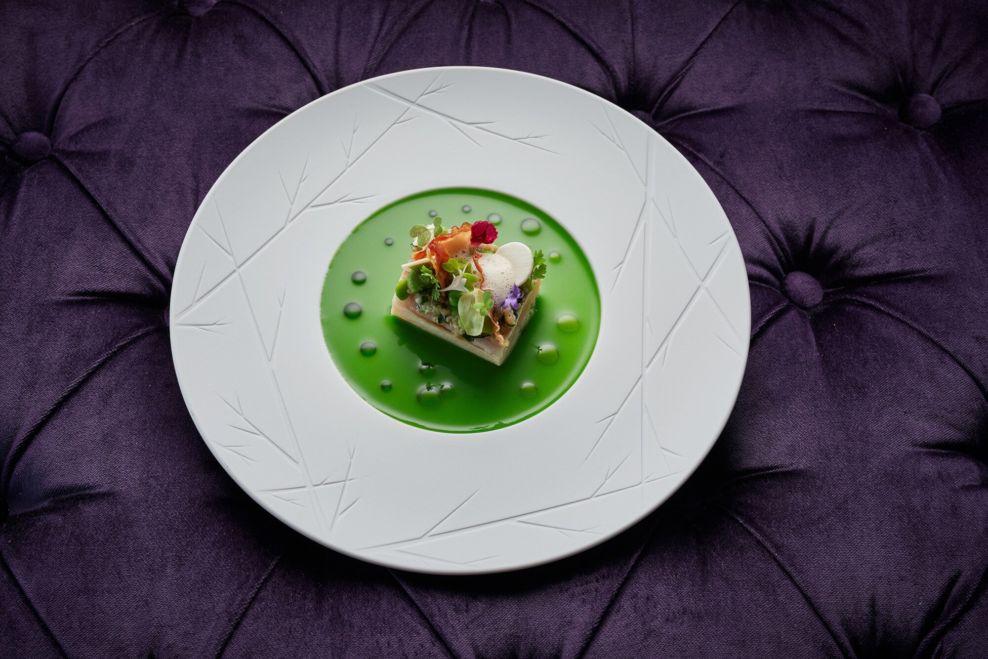 Ein weißer Teller mit einem kunstvoll dekorierten Stück Forelle auf einem edlen lila Samt-Untergrund