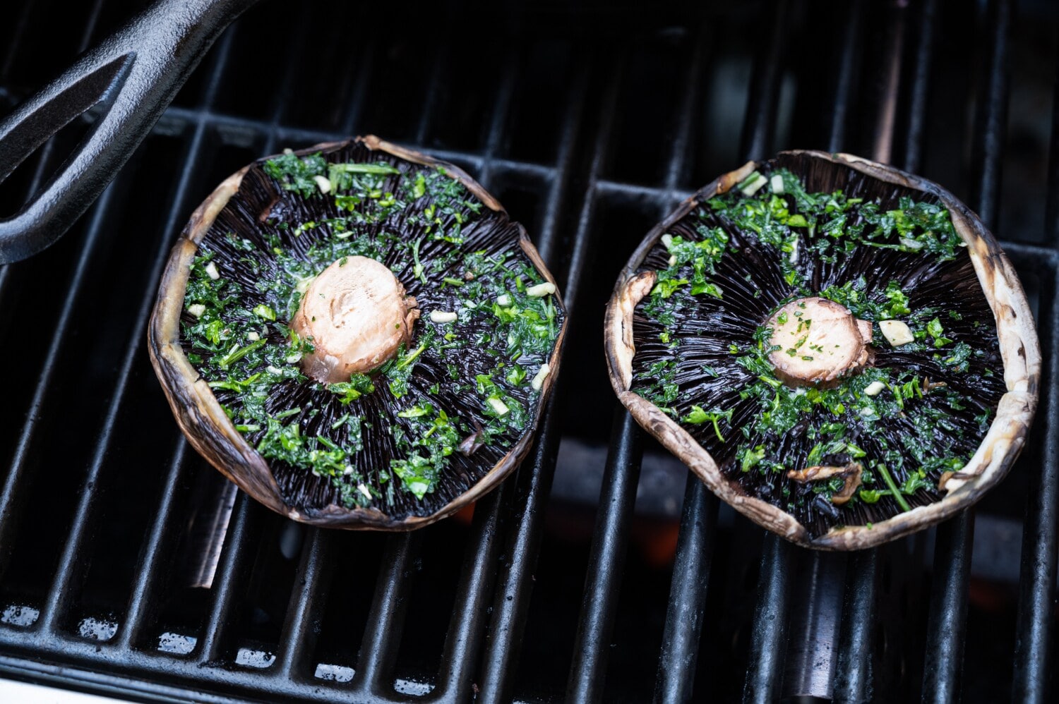 Zwei mit Kräutern marinierte Portobello-Pilze auf dem Grill Zwei mit Kräutern marinierte Portobello-Pilze auf dem Grill