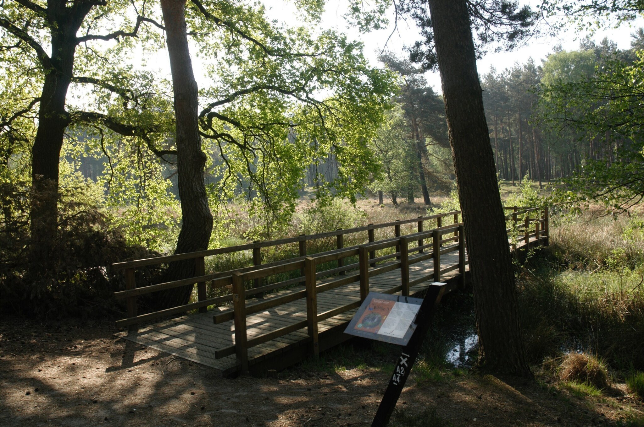Eine kleine Holzbrücke führt über einen Bach