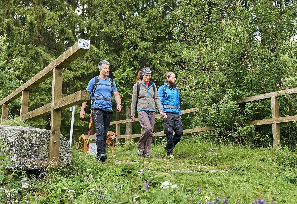 Drei Wandernde und ein Hund laufen über eine Brücke im Grünen