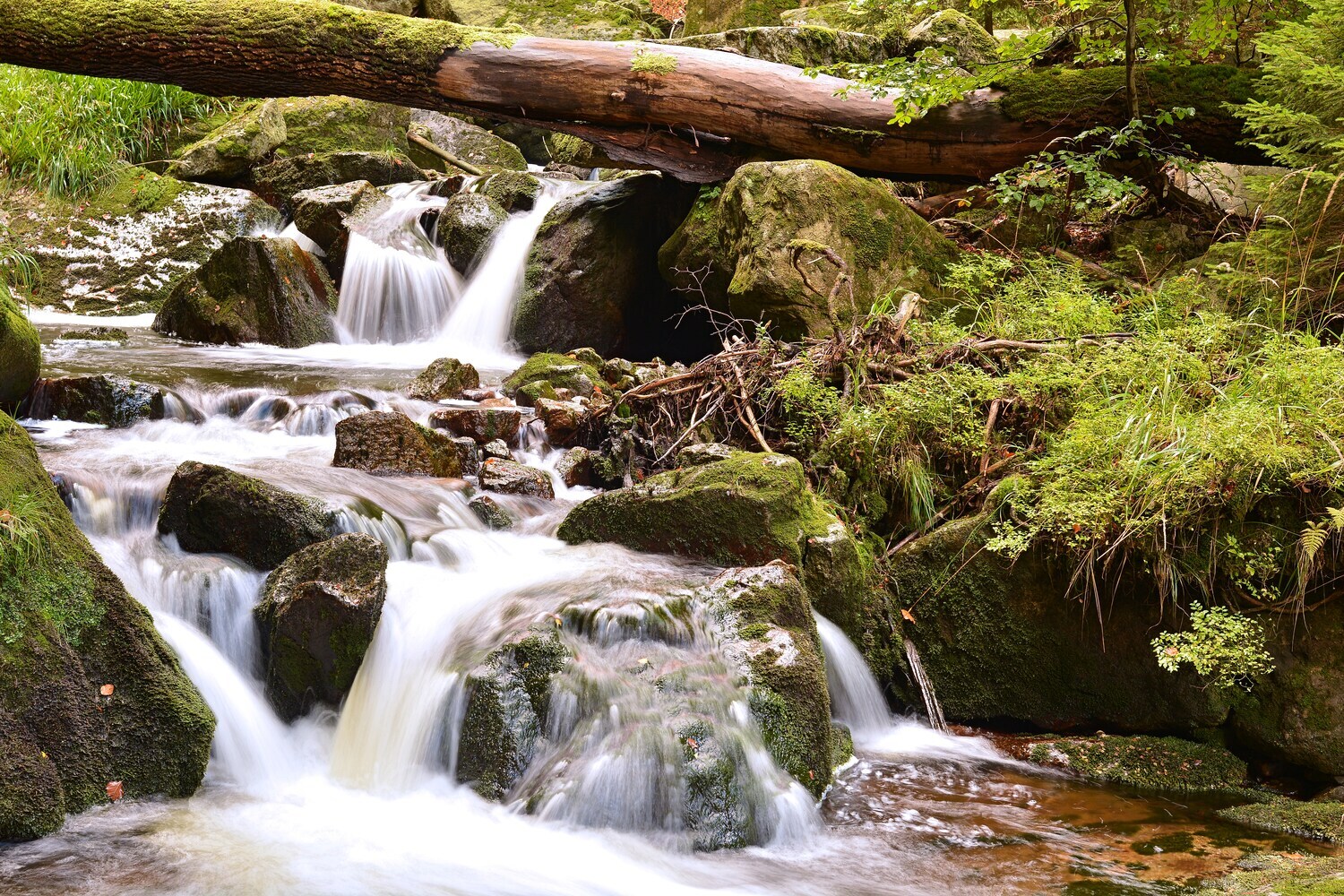 Der Fluss Ilse bei Ilsenburg im Nationalpark Harz