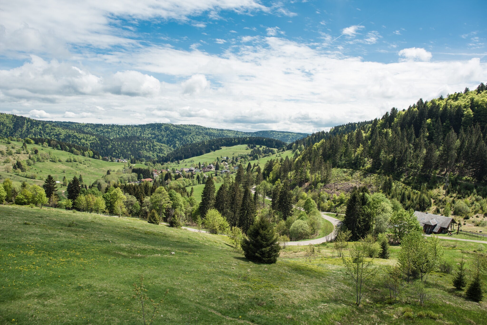 Grüne Berglandschaft im Schwarzwald