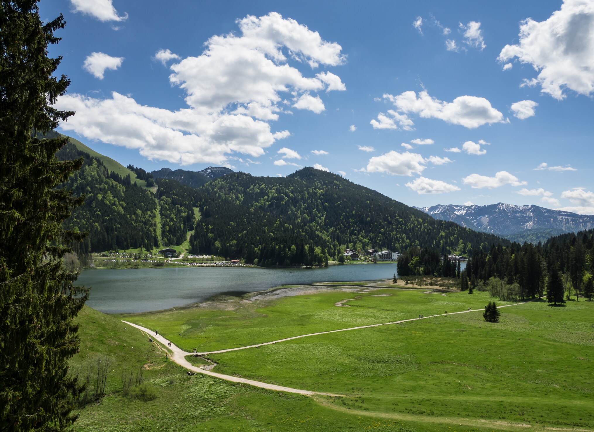 Blick über Wiesen auf den Spitzingsee