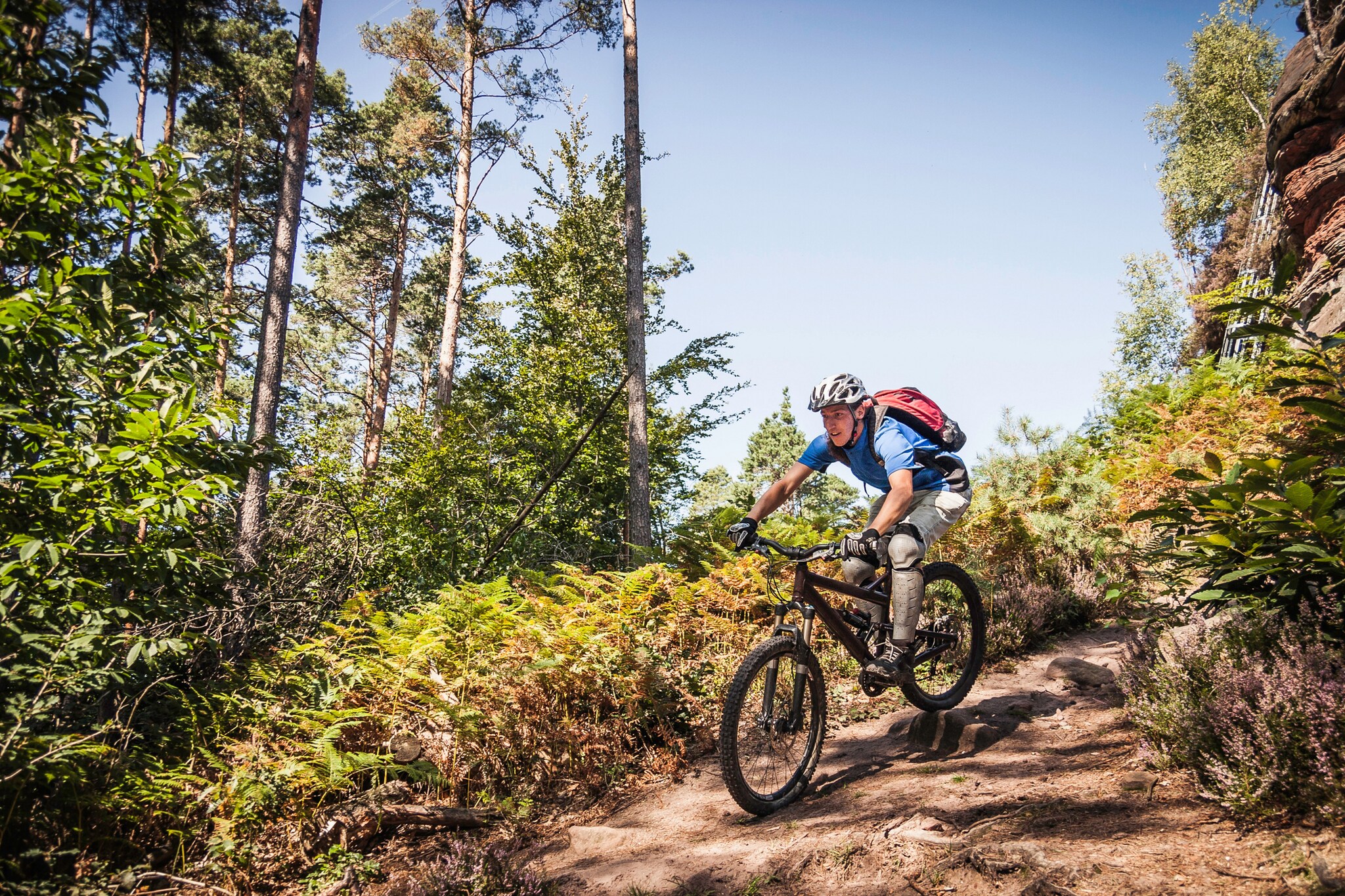 Ein Mountainbiker fährt auf einem Weg einen Hügel umgeben mit Bäumen und Büschen herunter Ein Mountainbiker fährt auf einem Weg einen Hügel umgeben mit Bäumen und Büschen herunter