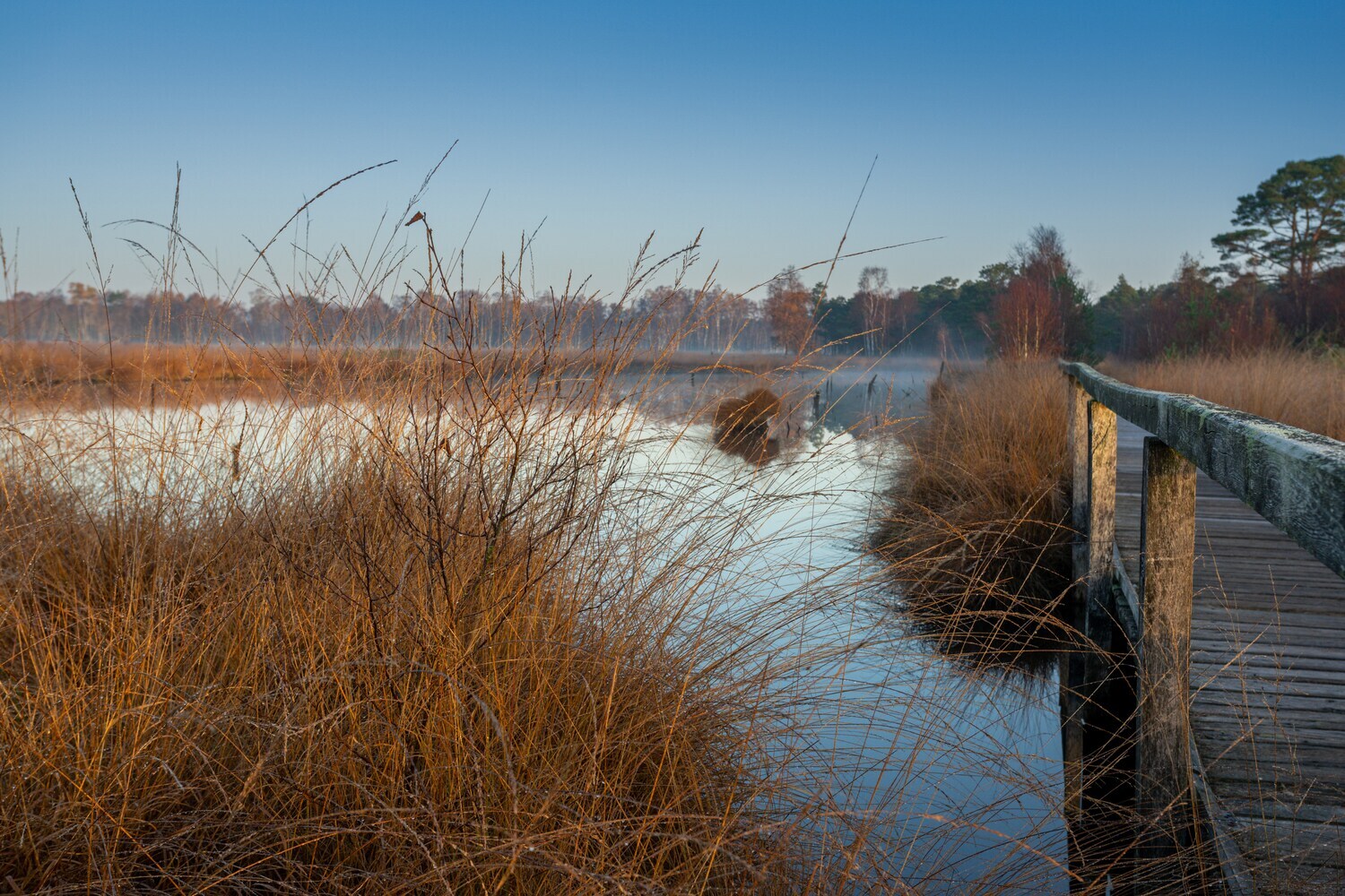 Bohlenstege im Pietzmoor