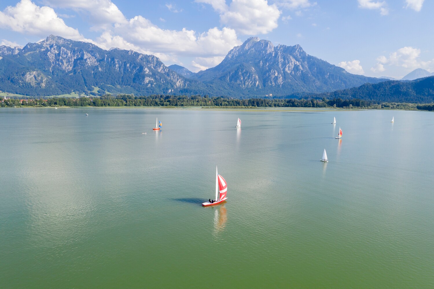 Mehrere kleine Segelboote segeln auf einem See vor einer Bergkulisse