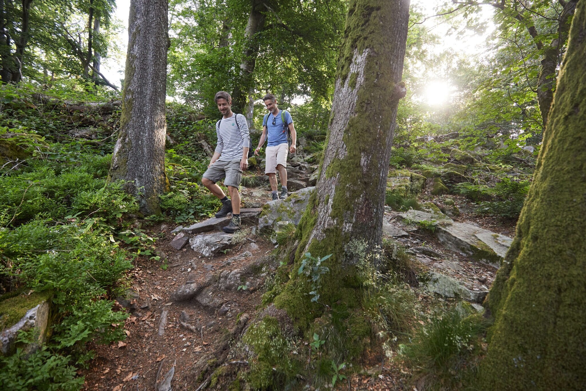 Zwei Männer gehen durch einen Wald einen steinigen Hügel herunter