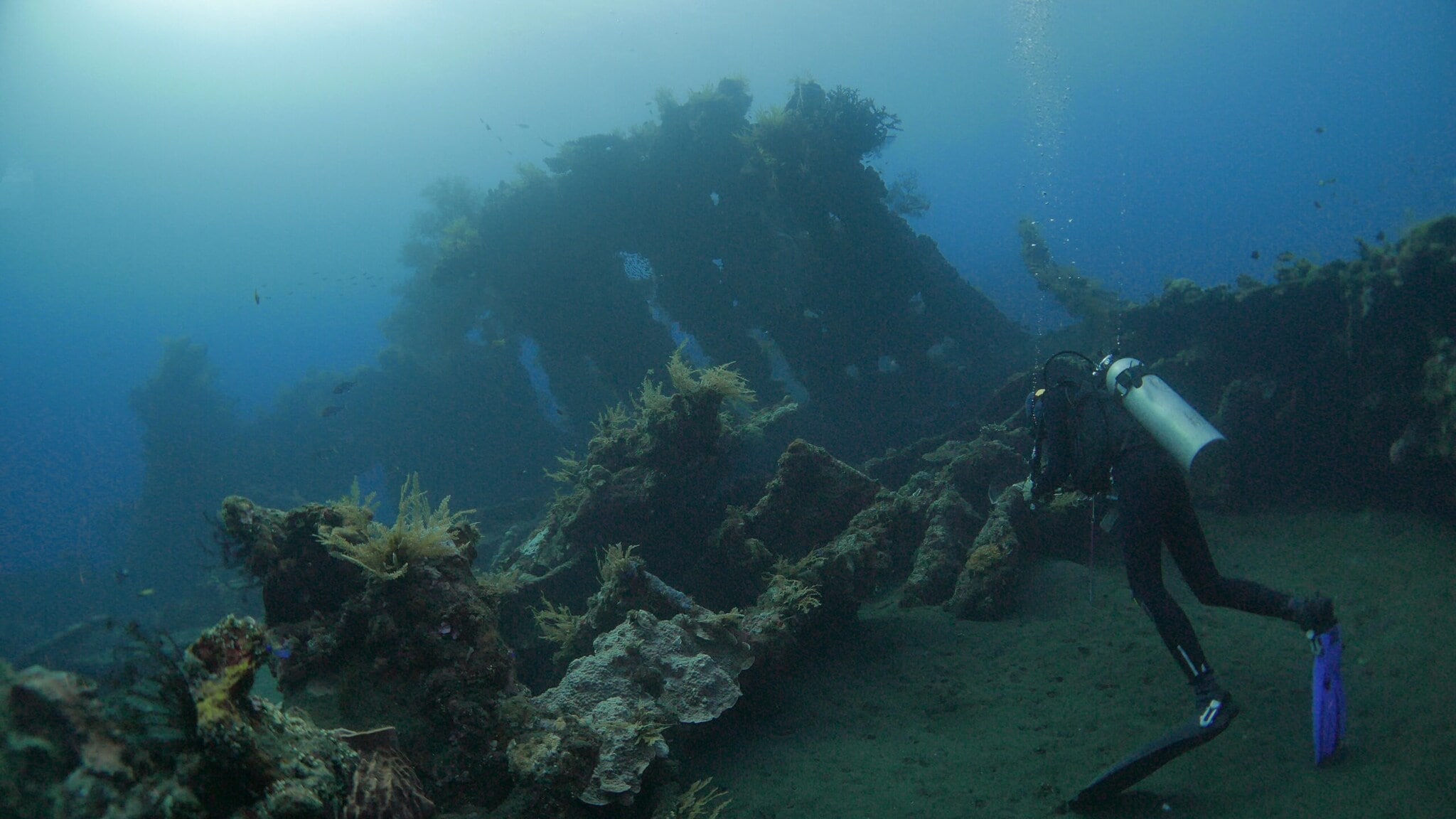Das korallenüberwucherte Wrack des amerikanischen Frachters USAT Liberty vor Tulamben Das korallenüberwucherte Wrack des amerikanischen Frachters USAT Liberty vor Tulamben
